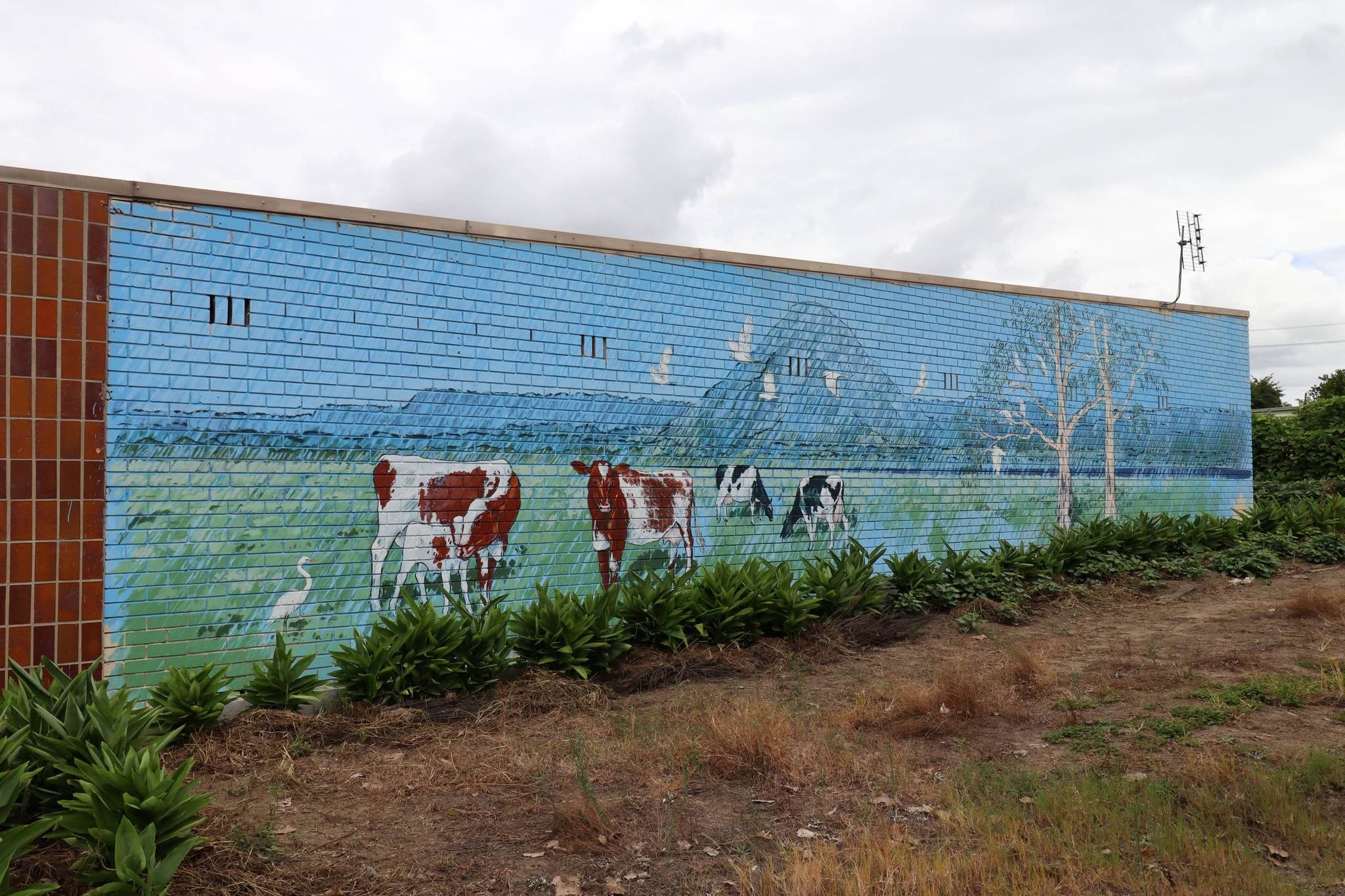 Unknown - Nowra&mdash;undefined