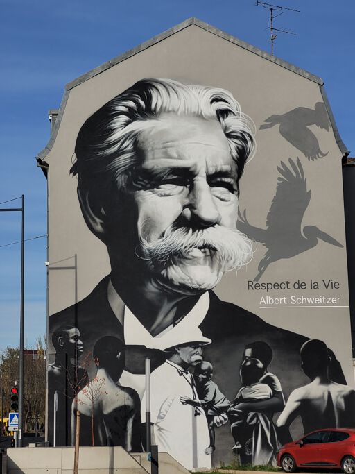 Albert Schweitzer - Respect Life