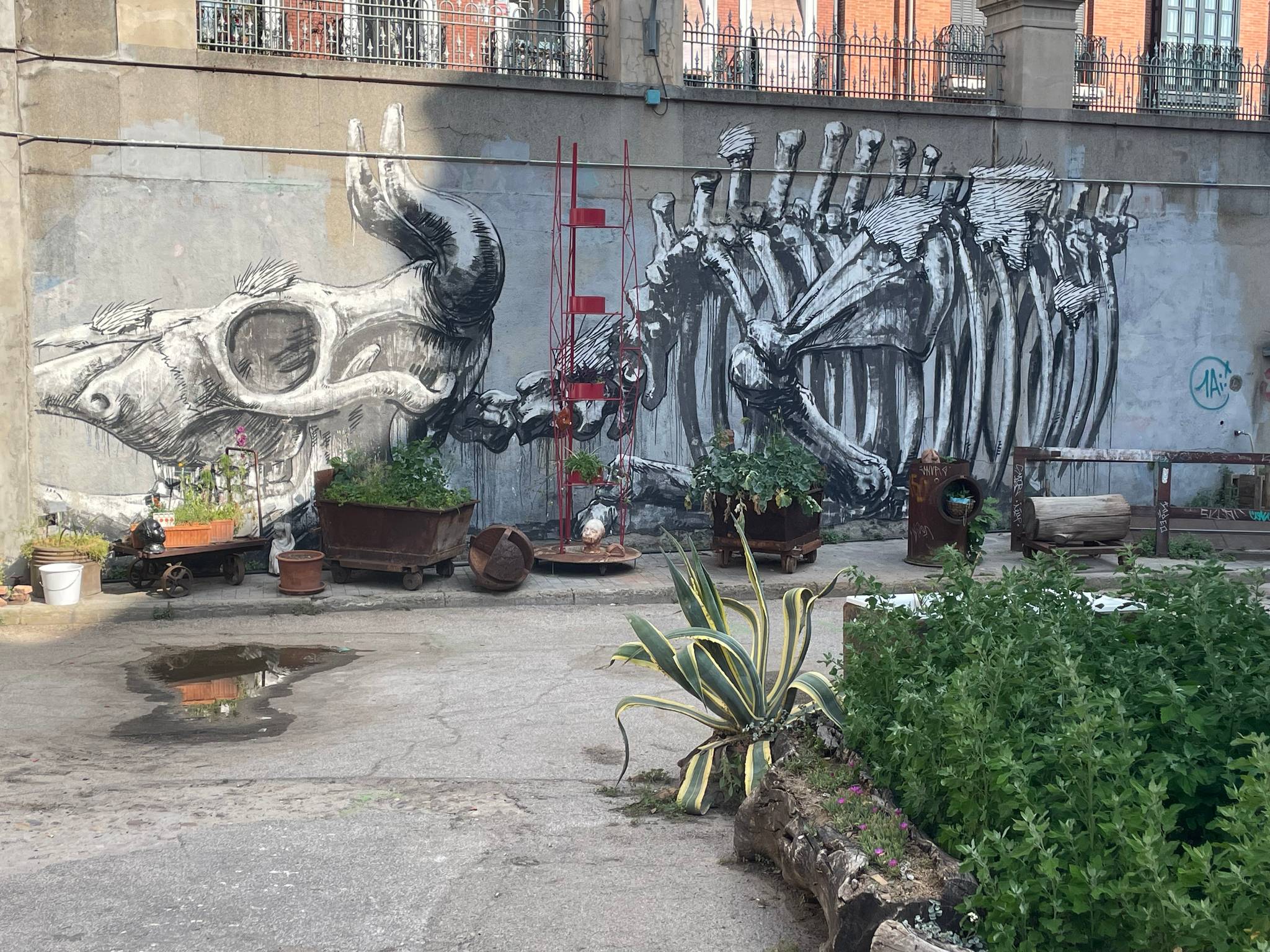 Roa&mdash;undefined