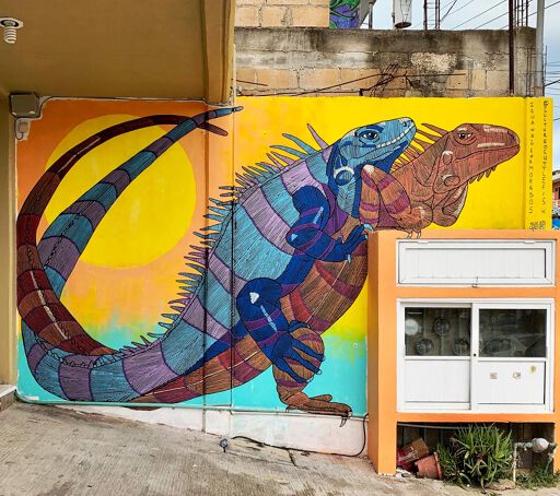 Iguanas Enamorados