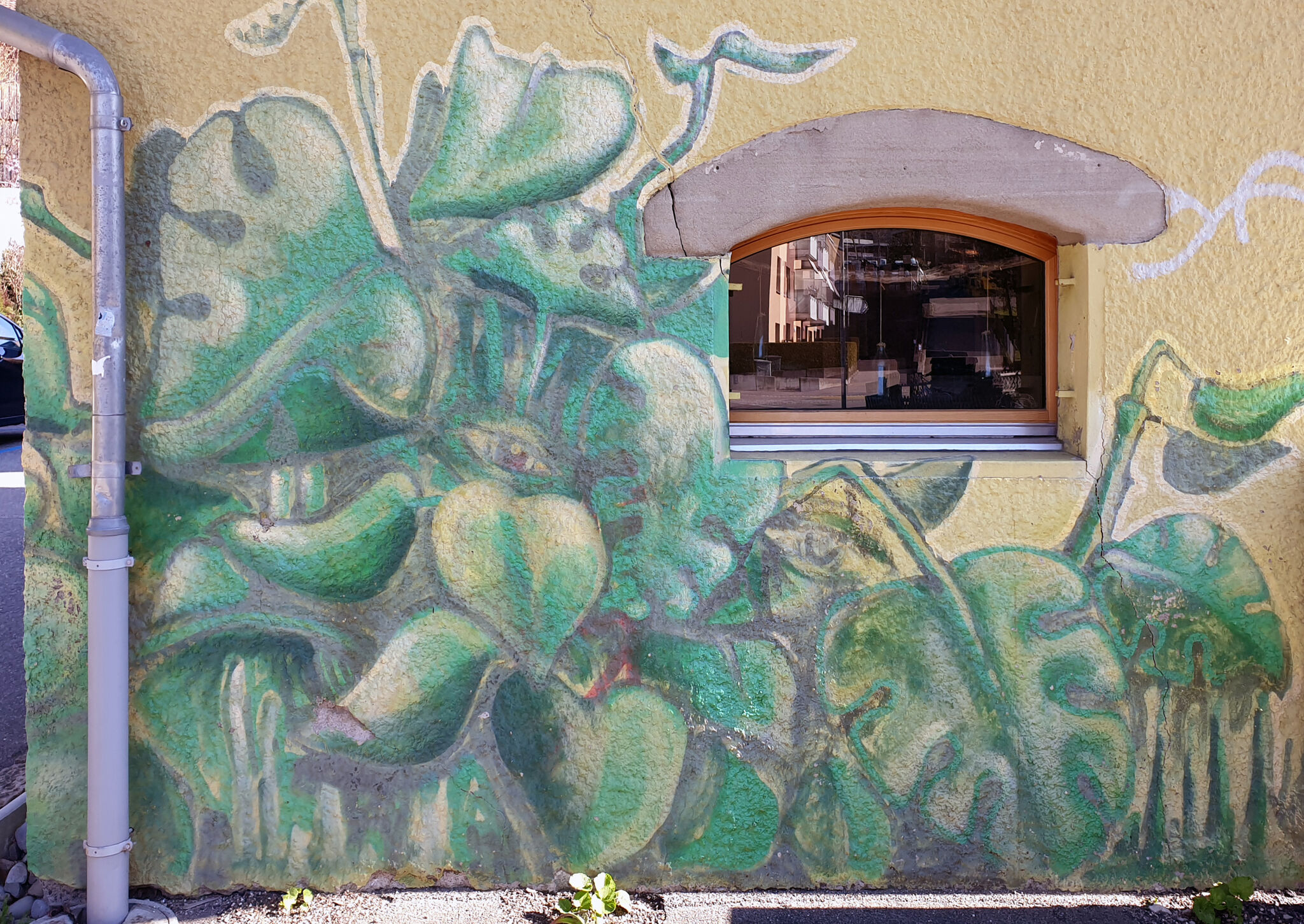 Unknown - Bern&mdash;PLANTS