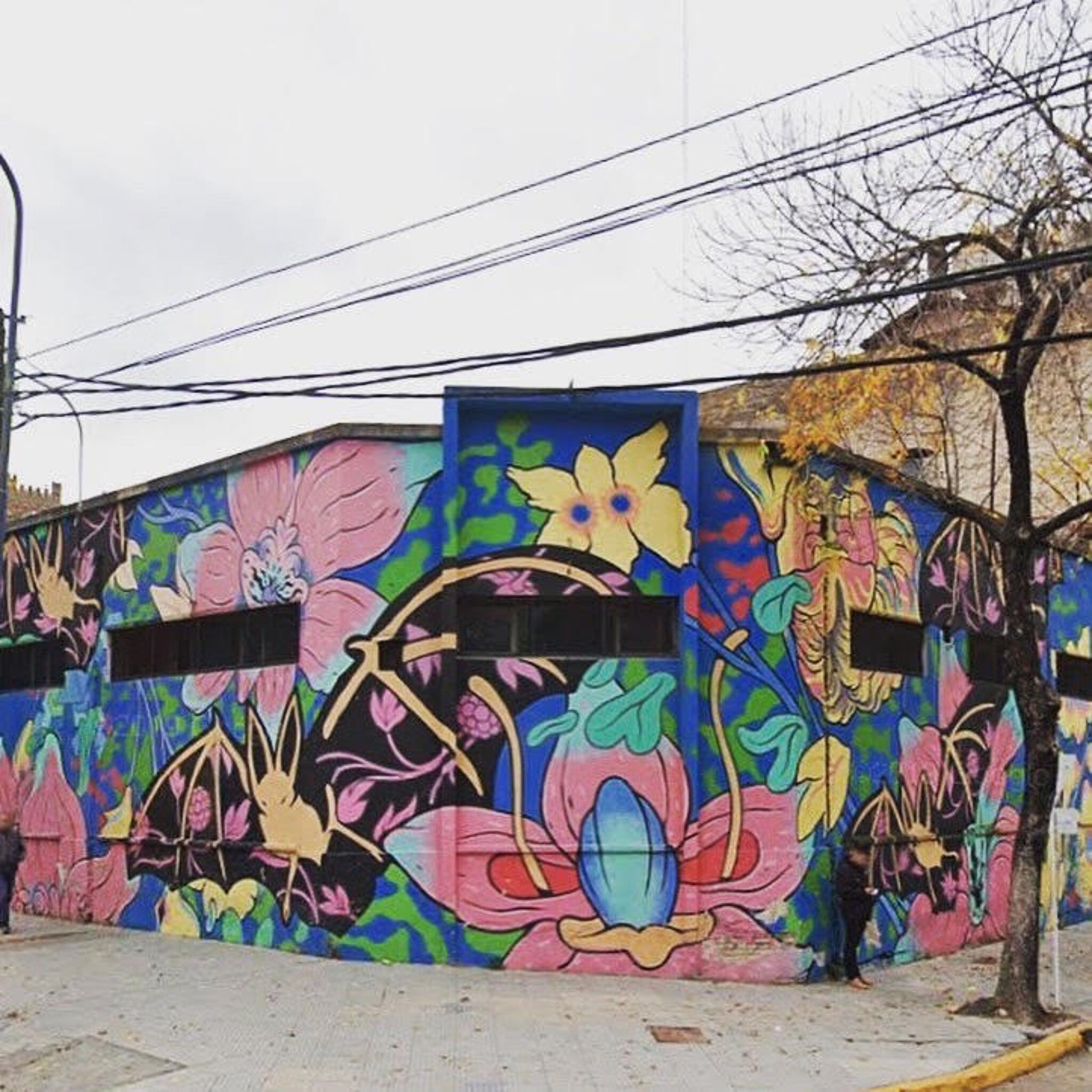 Pablo Harimbat&mdash;Bat in colors