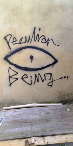 Peculiar Being