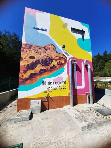 Biodiversidade local