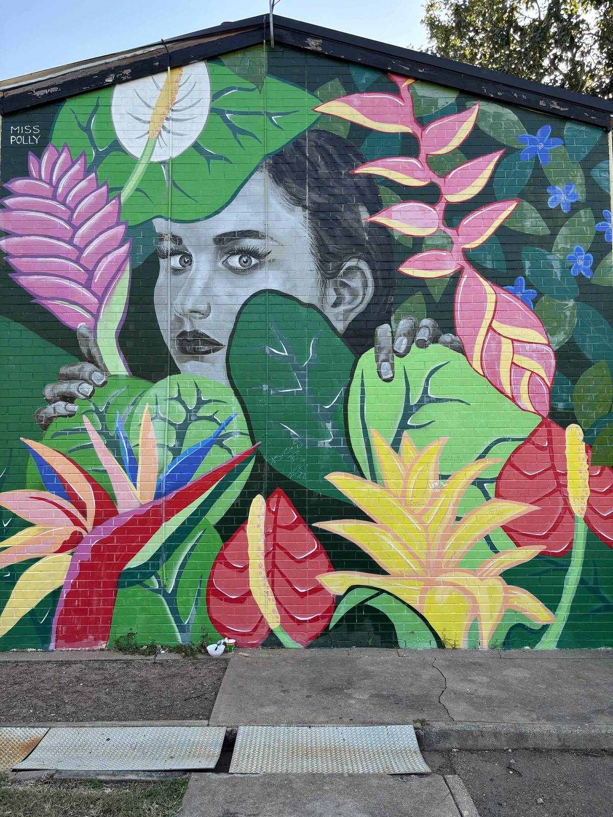 Miss Polly&mdash;undefined