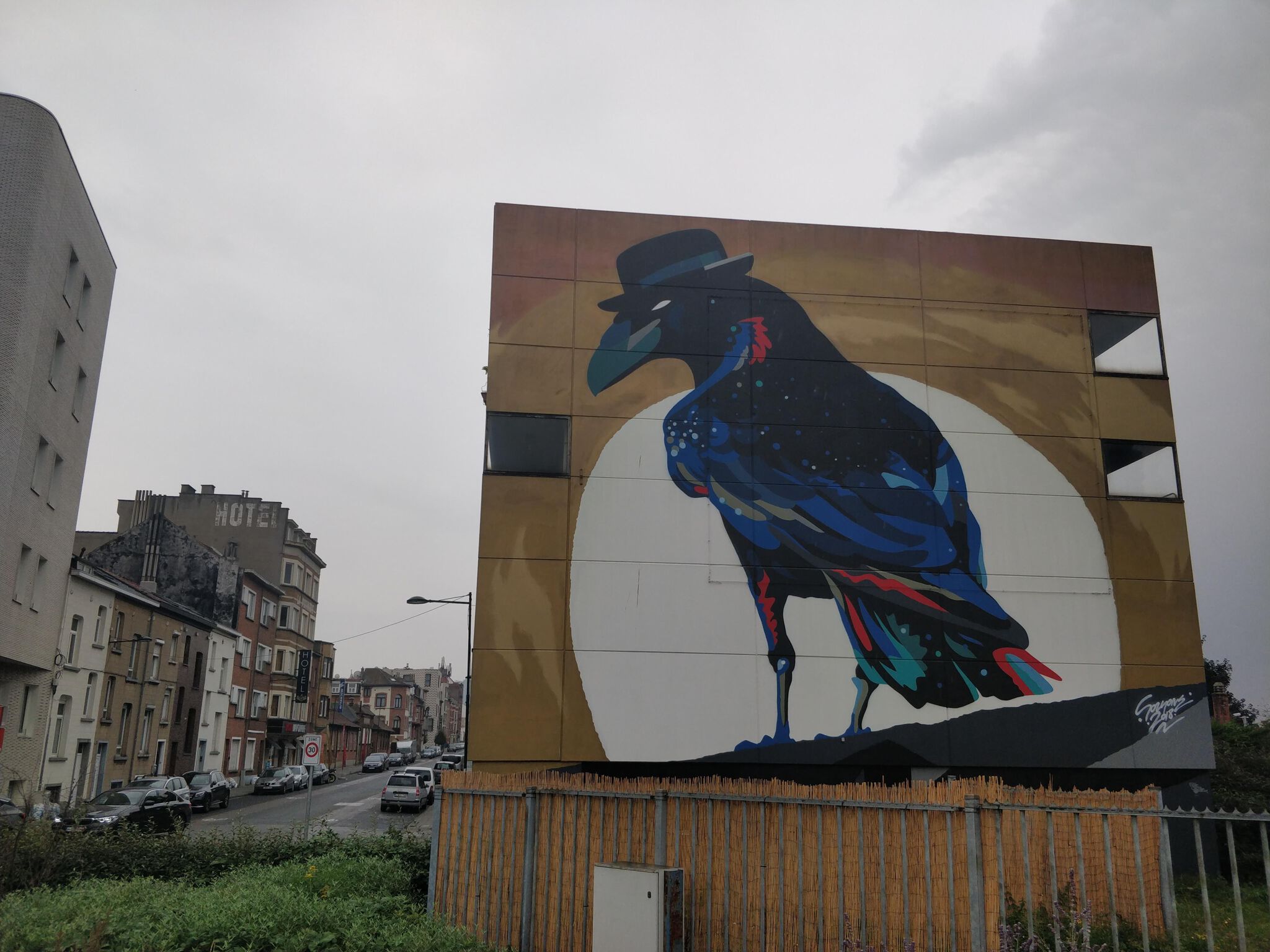 SozyOne&mdash;Corvus CoroneS