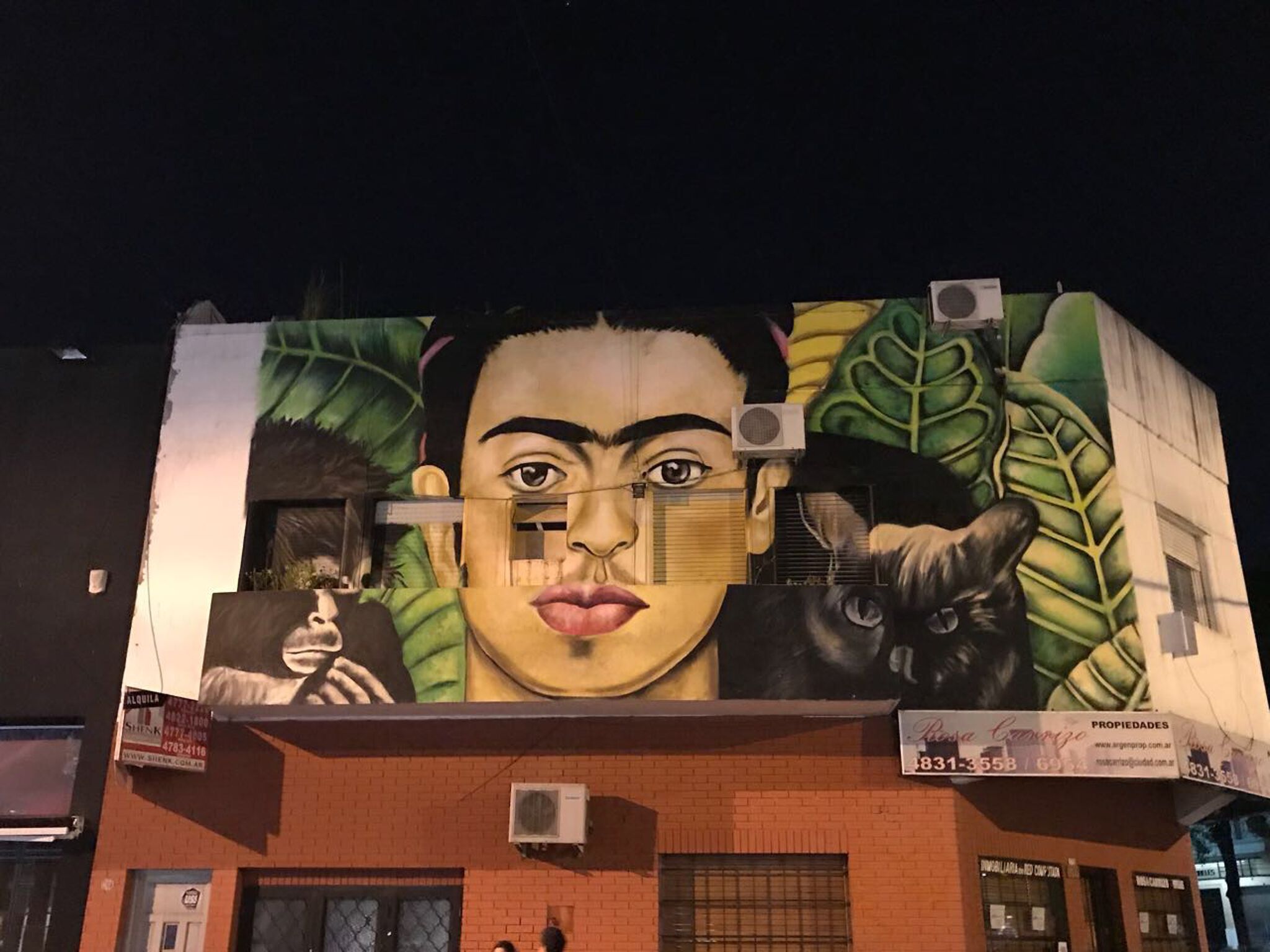 Unknown - Buenos Aires&mdash;Frida Kahlo with a monkey