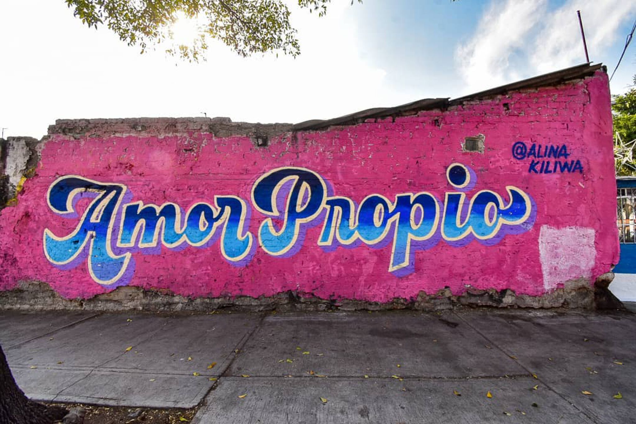 Alina Kiliwa&mdash;Amor propio