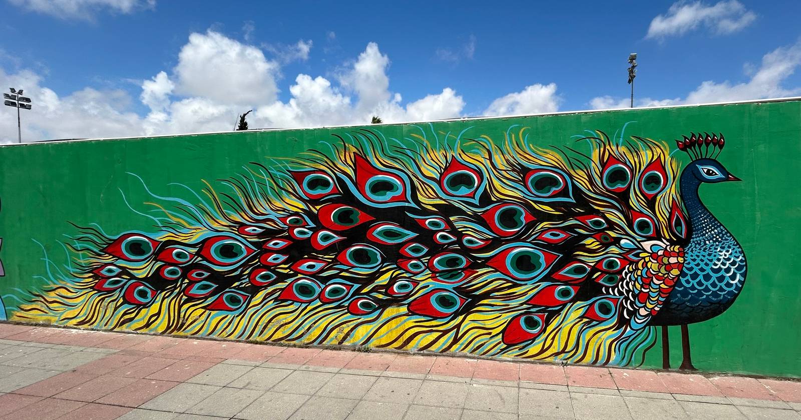 Unknown - Amman&mdash;Peacock