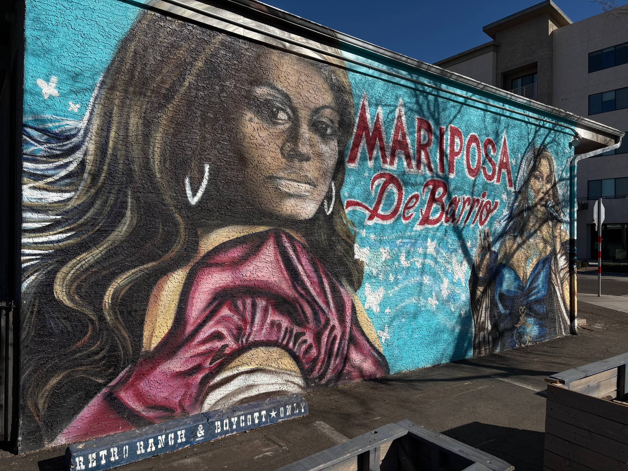 Unknown - Phoenix&mdash;Mariposa De Barrio