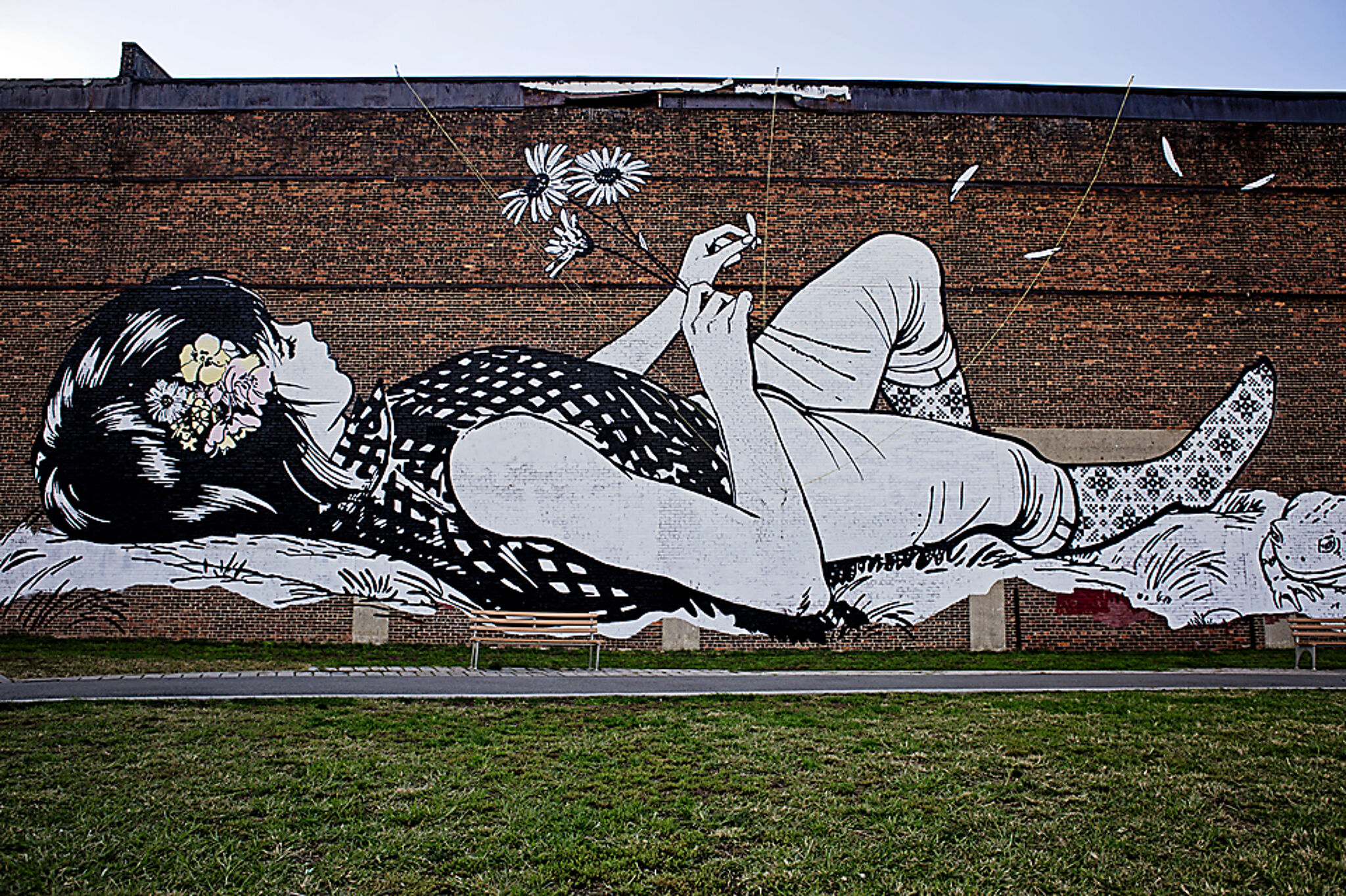 Faile&mdash;Love Me, Love Me Not