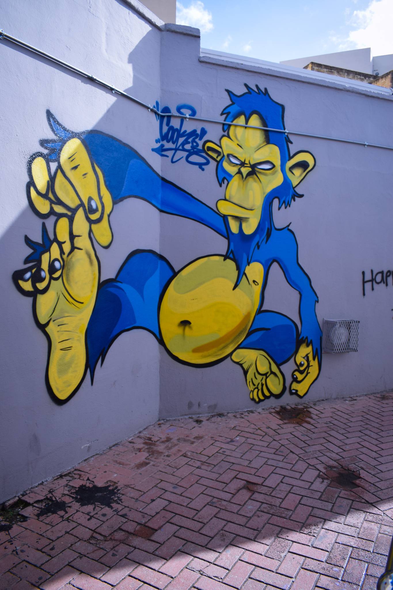 Cooker&mdash;Blue Monkey