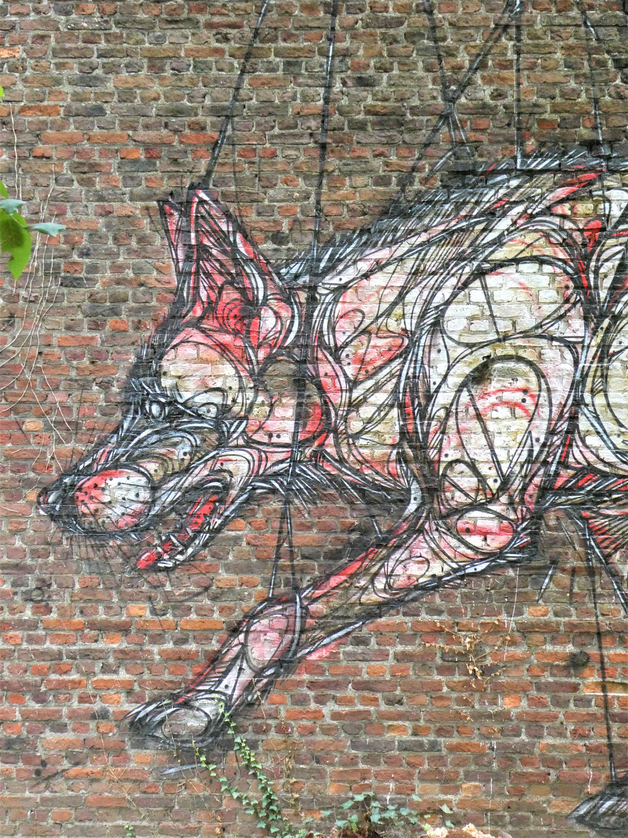 Dzia&mdash;Wolves