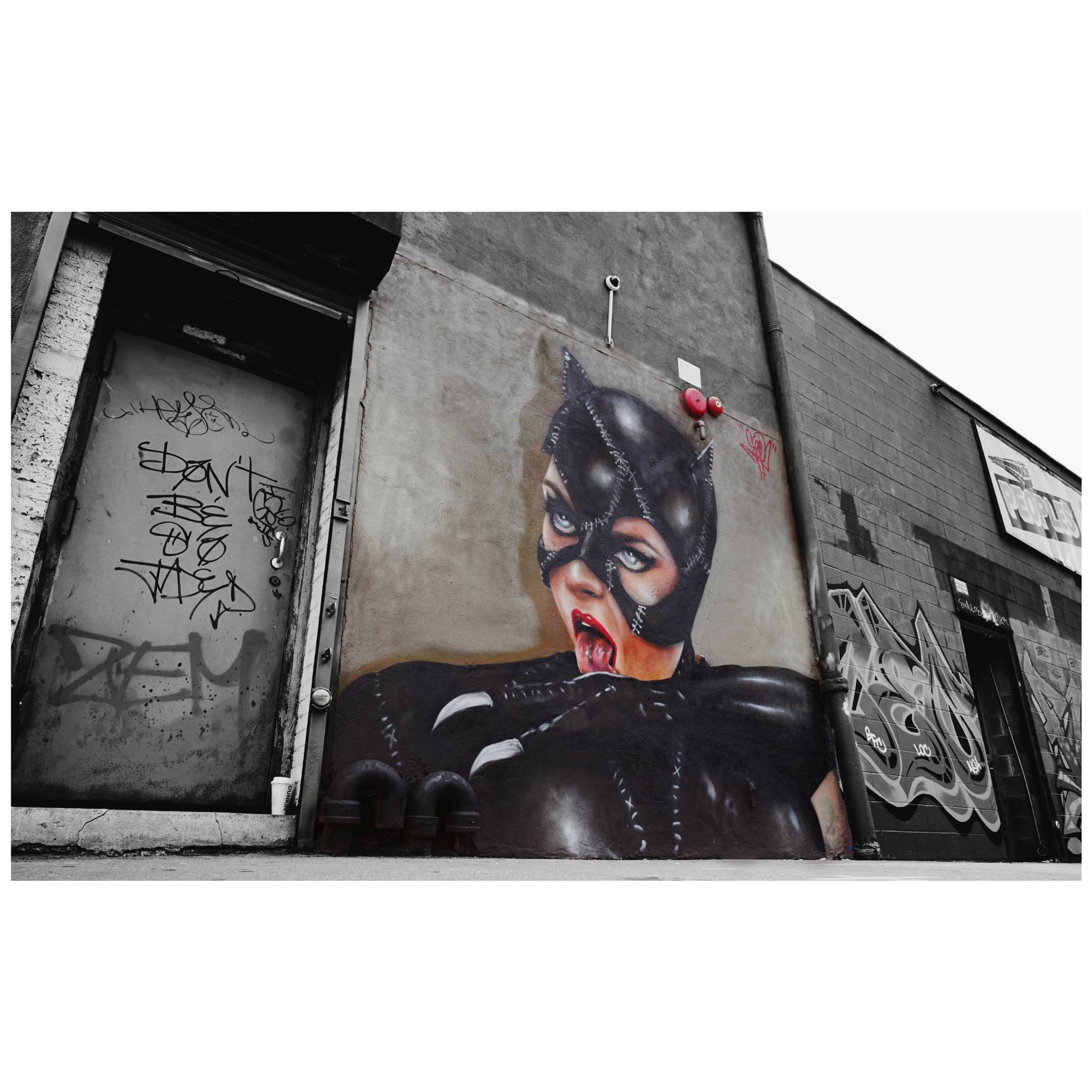 See TF&mdash;Cat woman