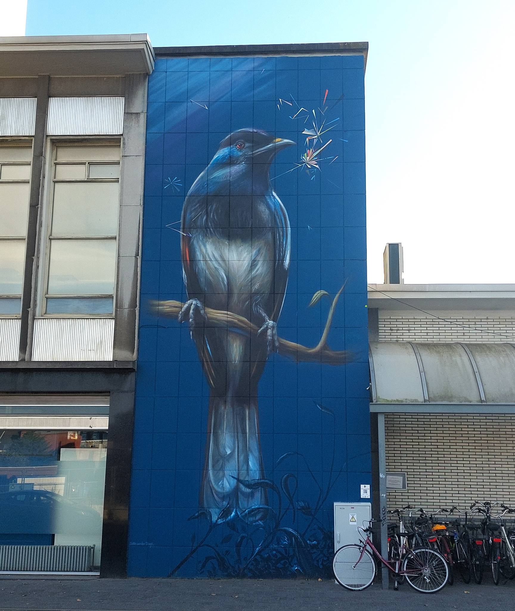 Collin van der Sluijs&mdash;The magpie