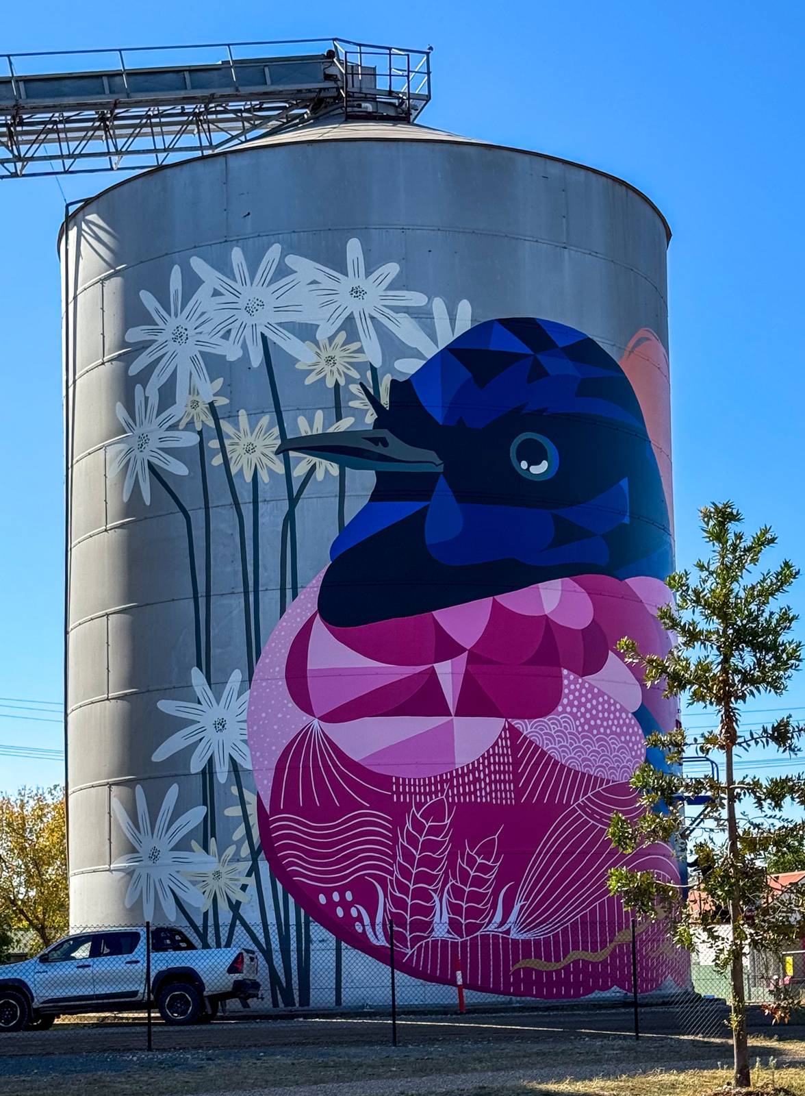 Ronan Holdsworth&mdash;Rutherglen Silos - Birds of Seasons