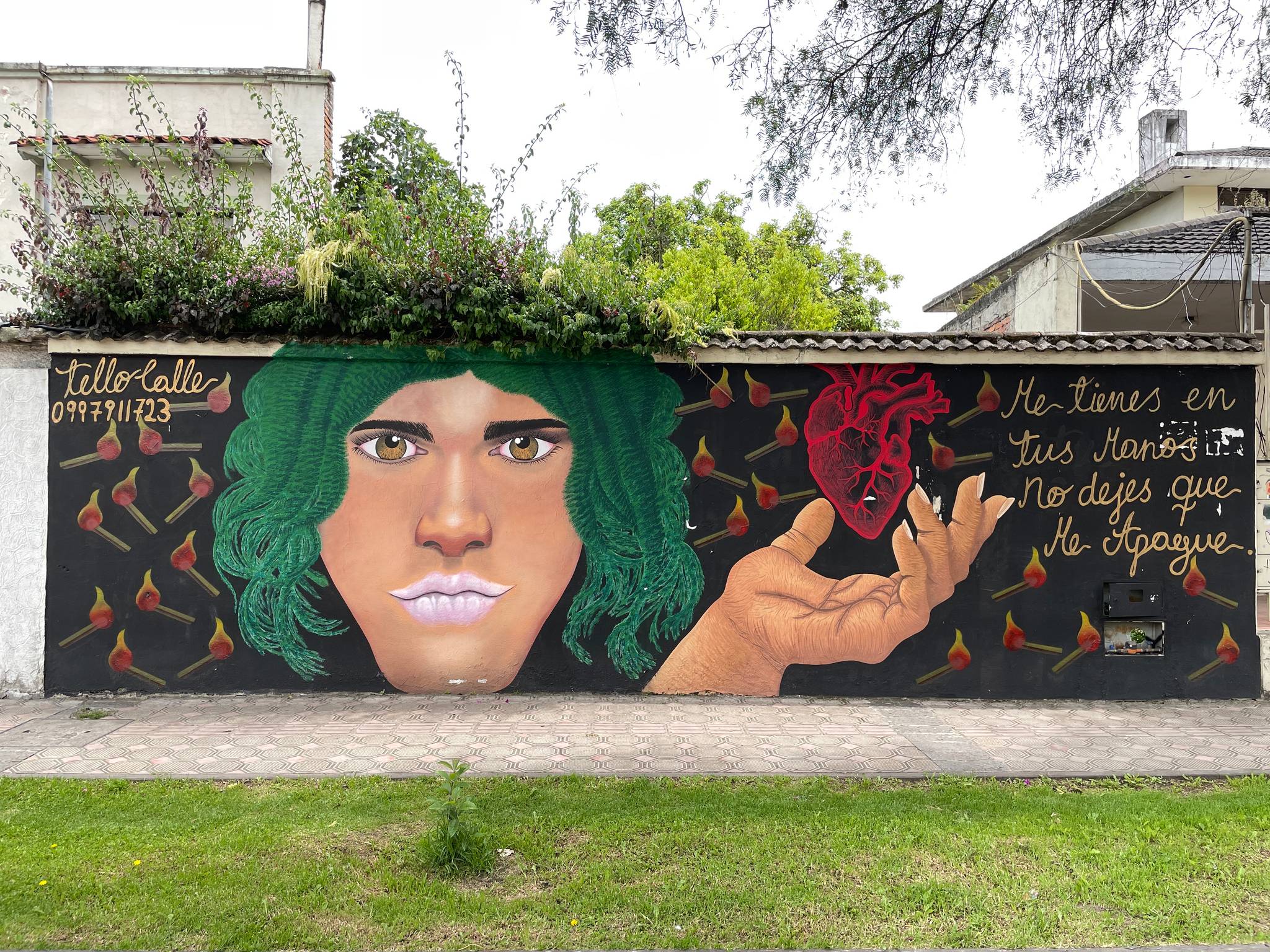 Tello Calle&mdash;You have me in your hands don't let him support me