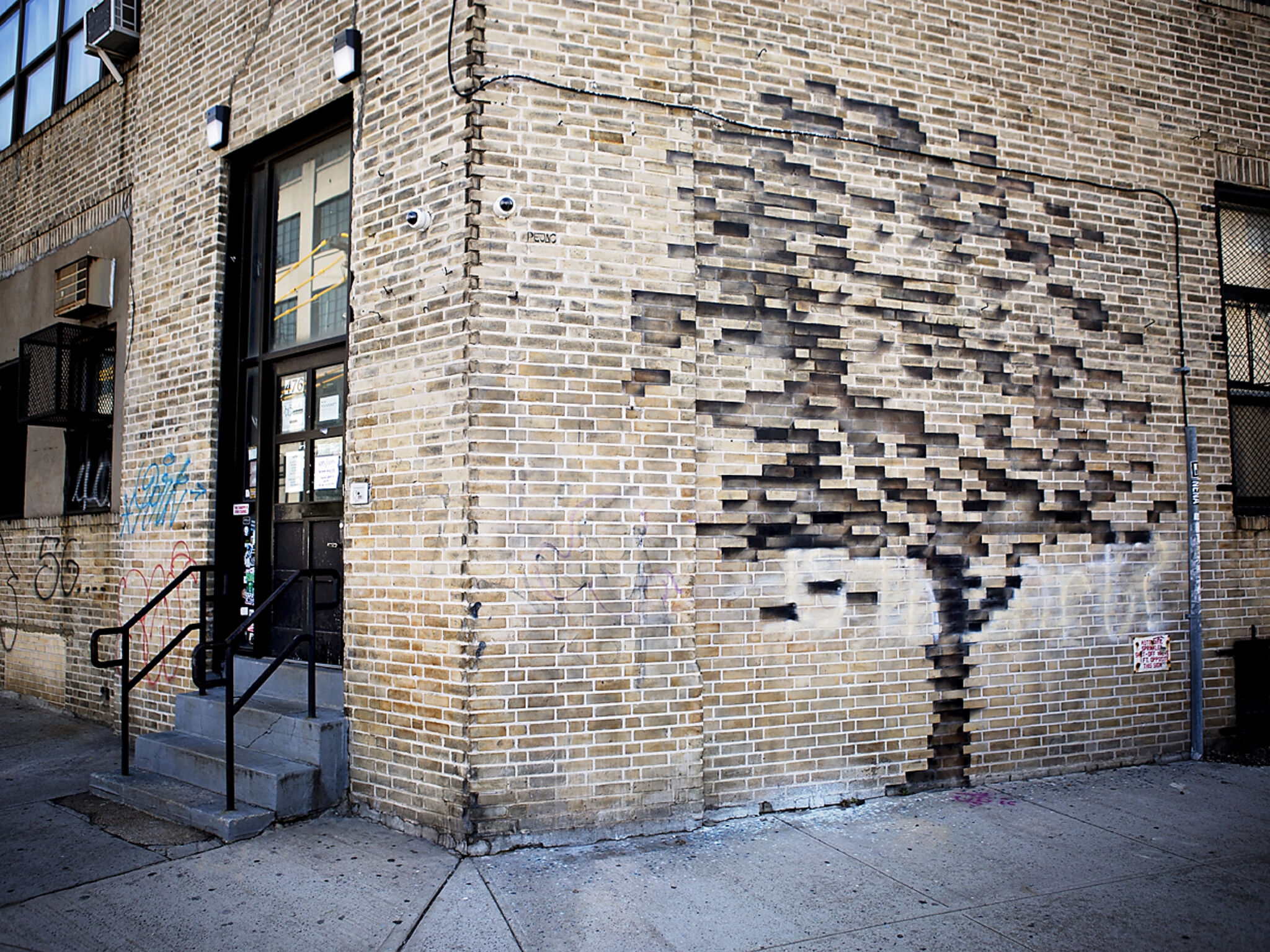 Pejac&mdash;Fossil