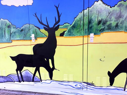 Tour Elentrik - Grazende Grazers