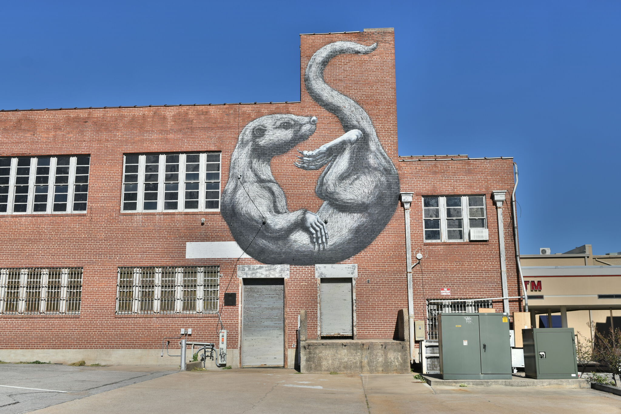 Roa&mdash;Otter