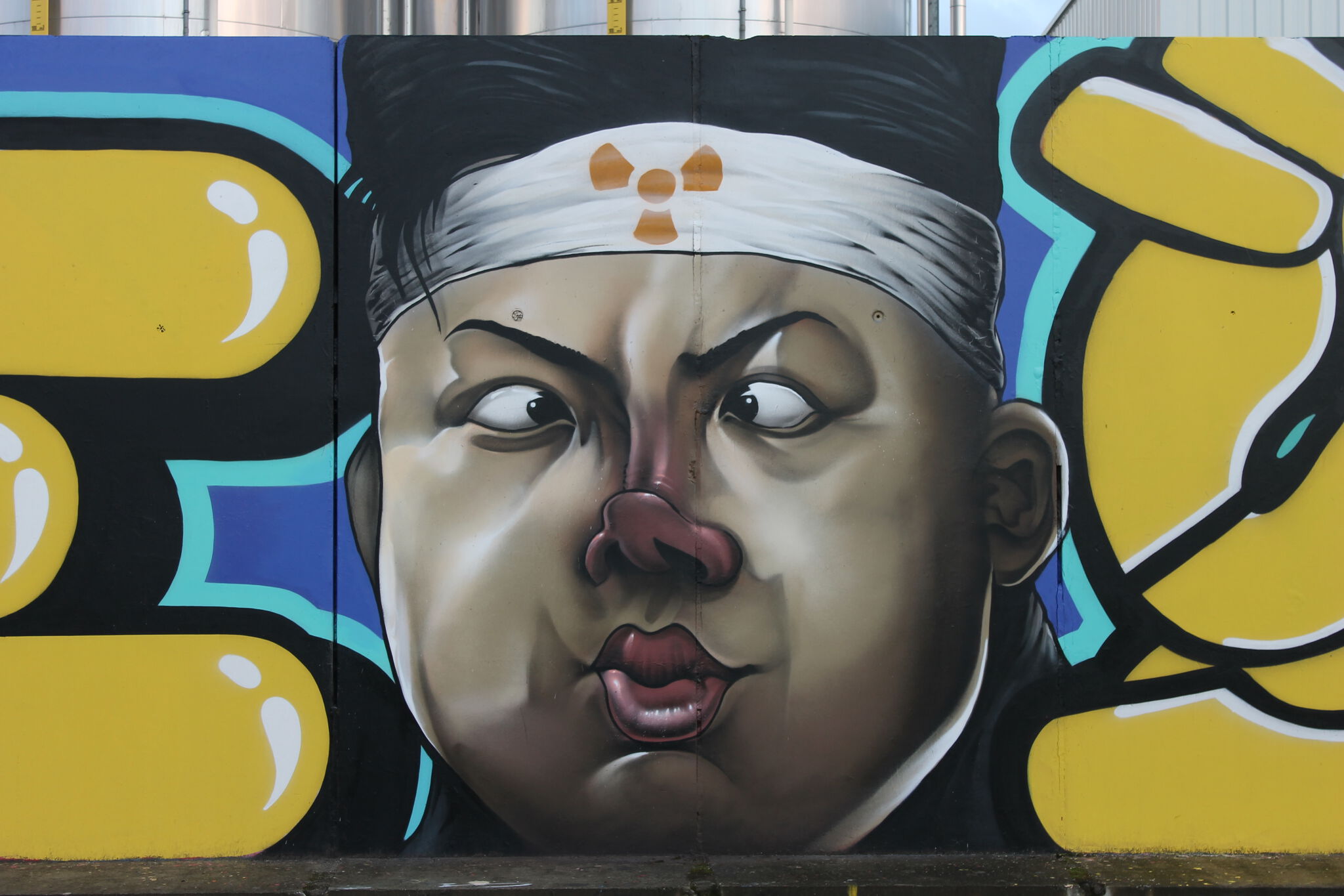 Snake, Julien Soone&mdash;Atomik Wall (N'est plus visible)