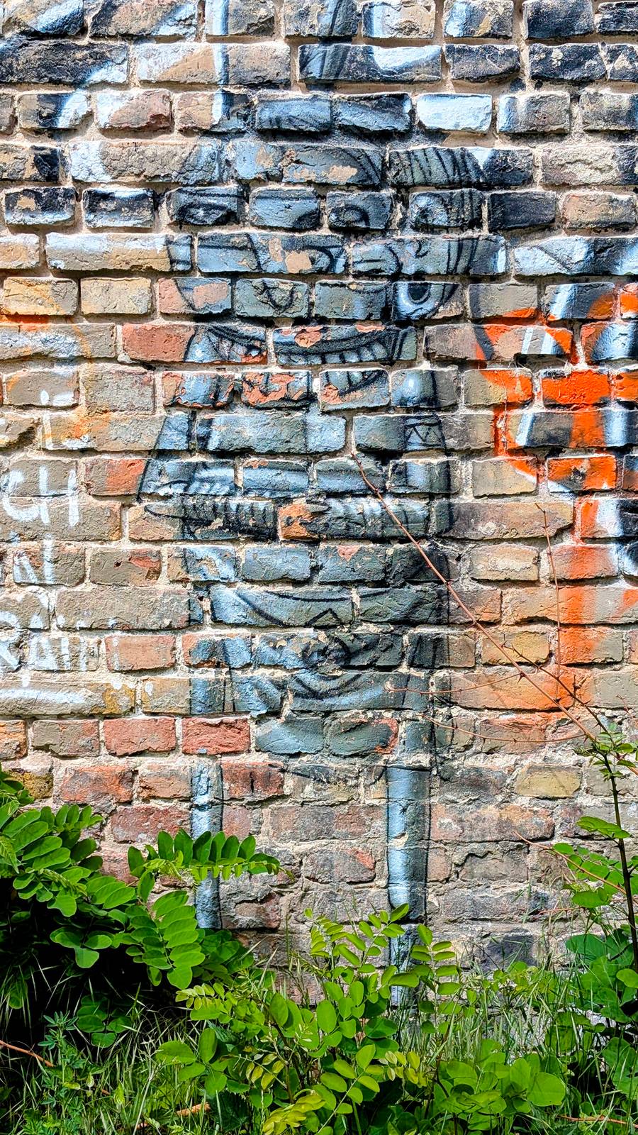 Cranio&mdash;Lost in the City