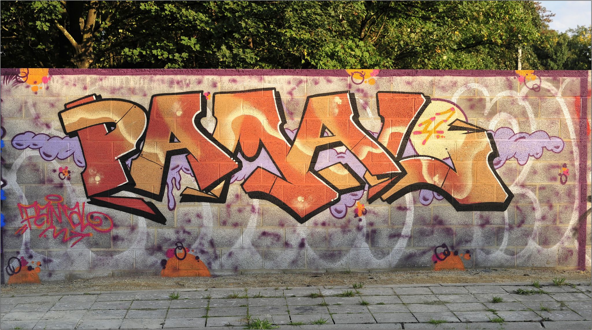 Noname, jnc, Ecto, Acide4000, nilon, nico hayer, Soke - la cabane, etc...., PsoMan&mdash;Skate Parc de Cointe