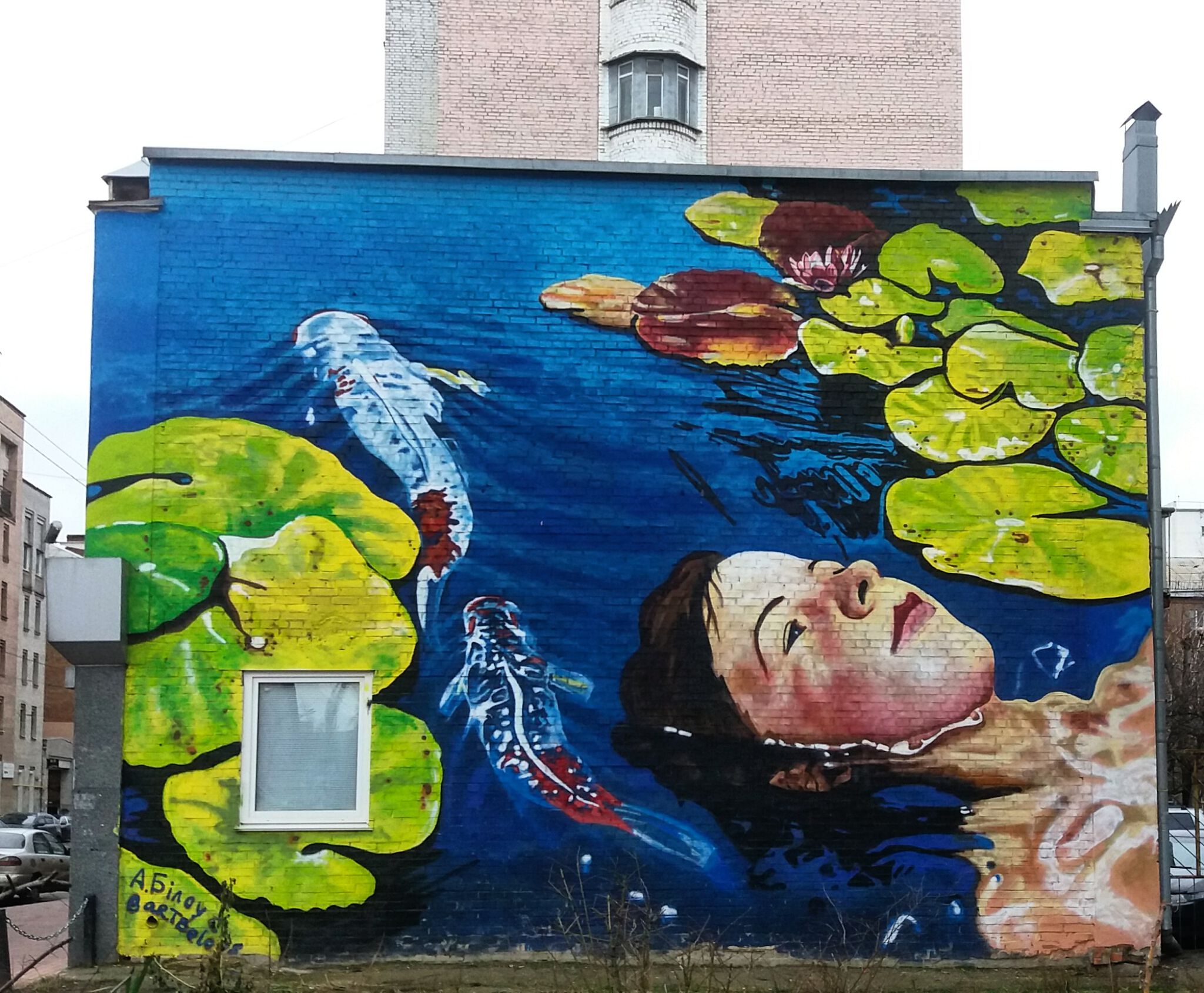 Anastasia Belous&mdash;A Girl in water lilies