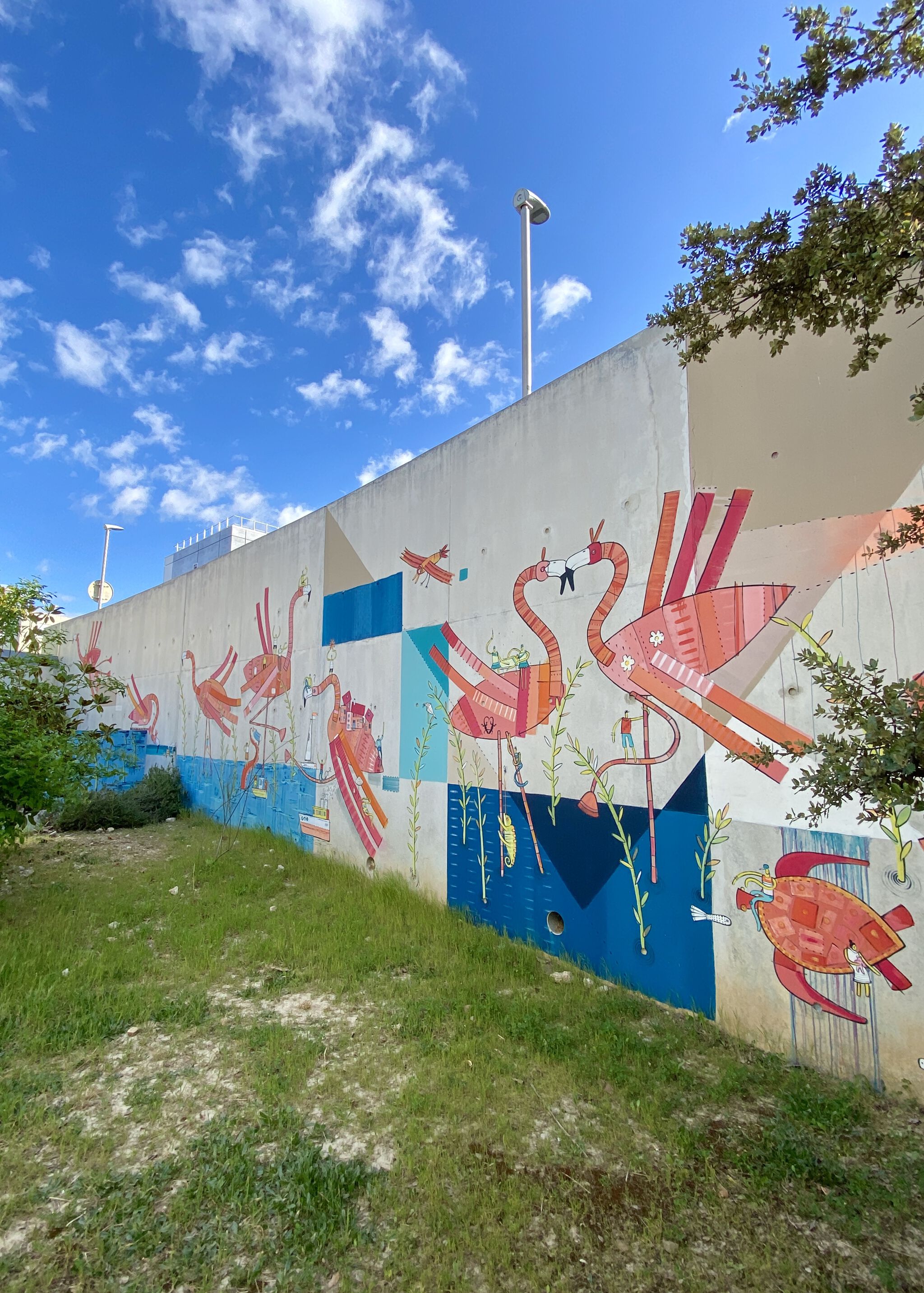 Adec&mdash;Flight of the Flamingos at St Eloi Hospital