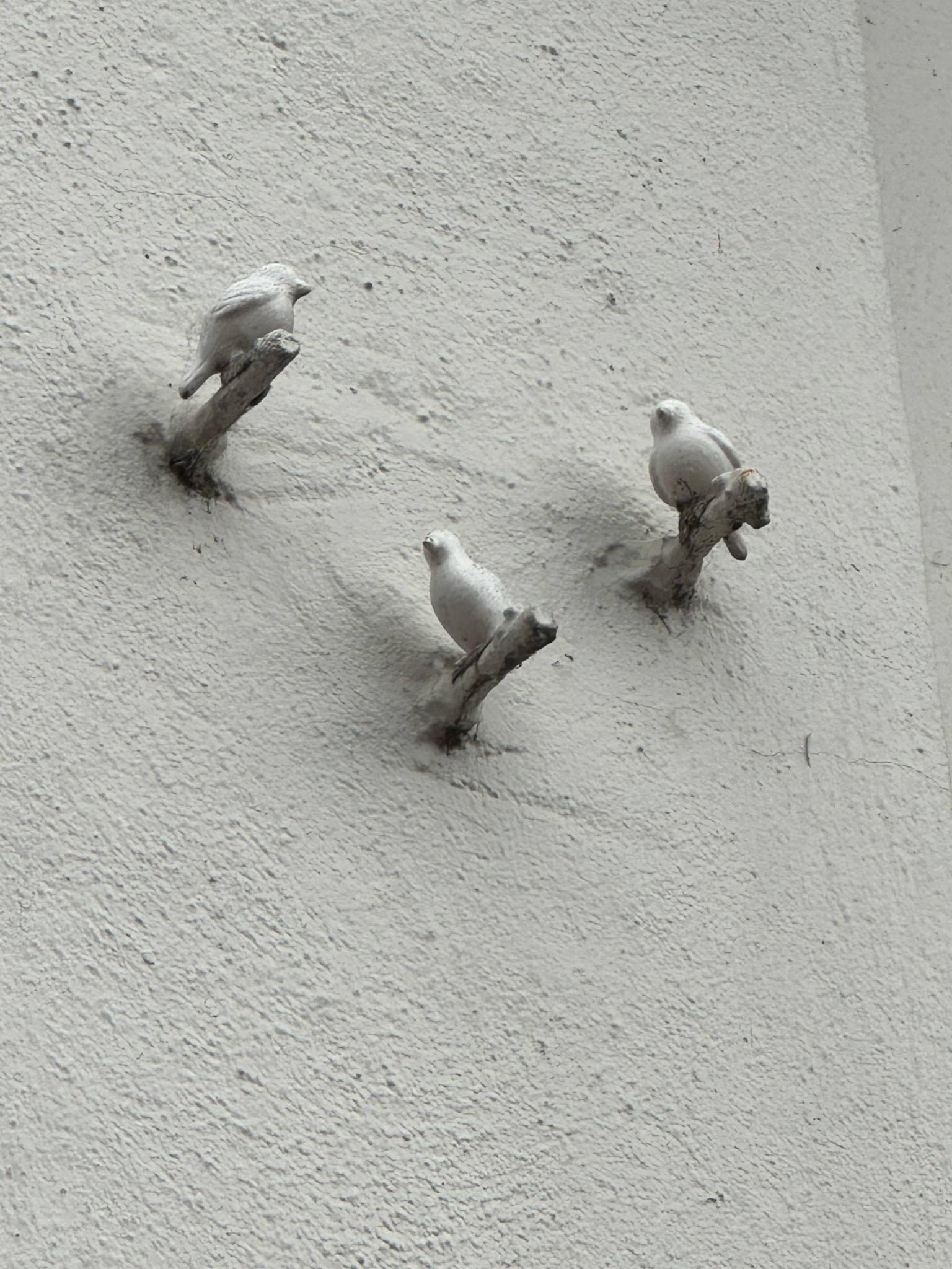Valerie Ardini &mdash;Birds
