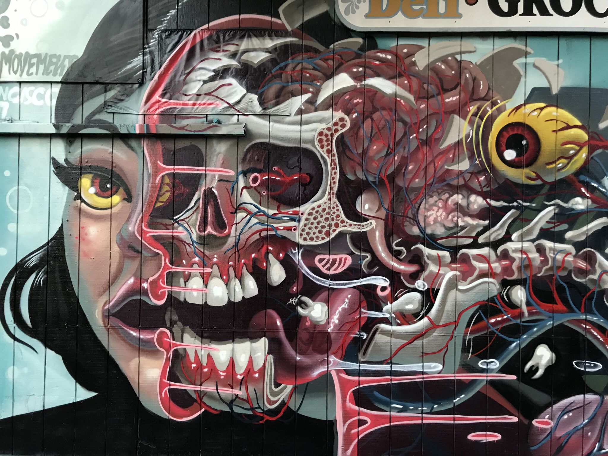 Nychos&mdash;The Anatomy of a Girl
