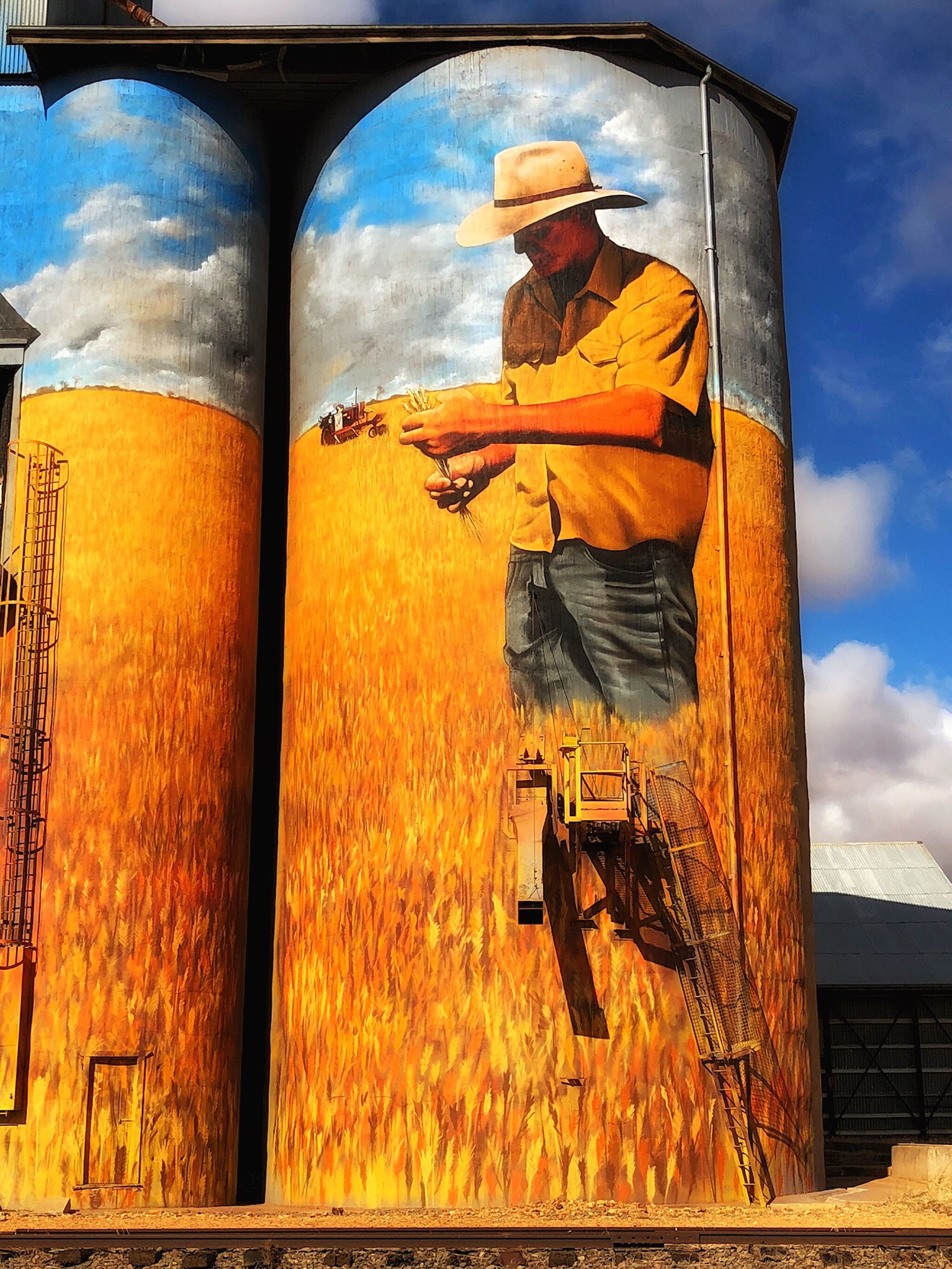Heesco&mdash;Weethalle Silo Art