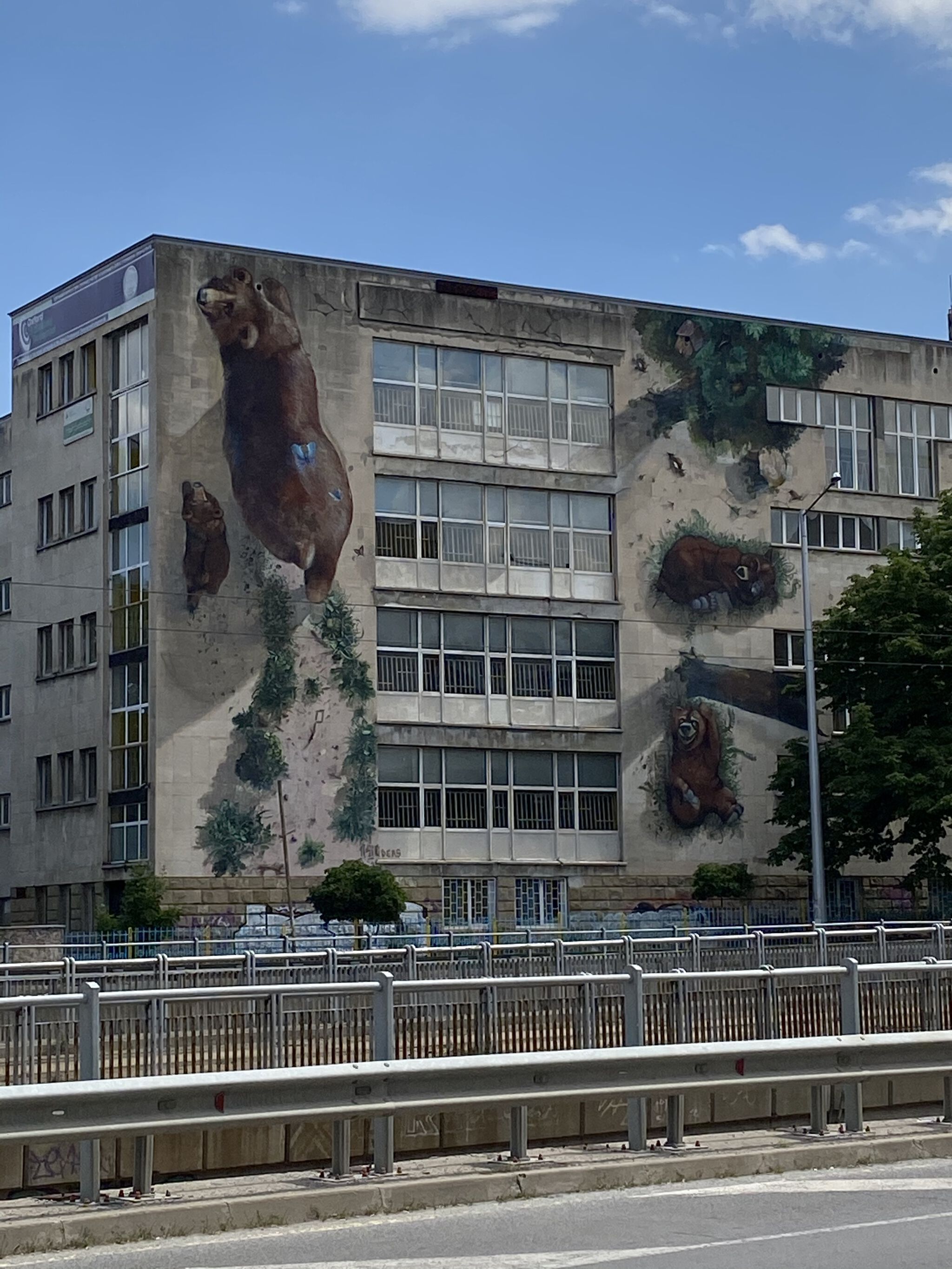140ideas&mdash;Love the brown bear