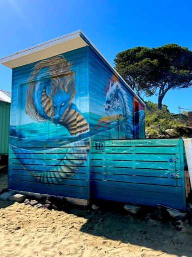 Sea Dragons Beach Box