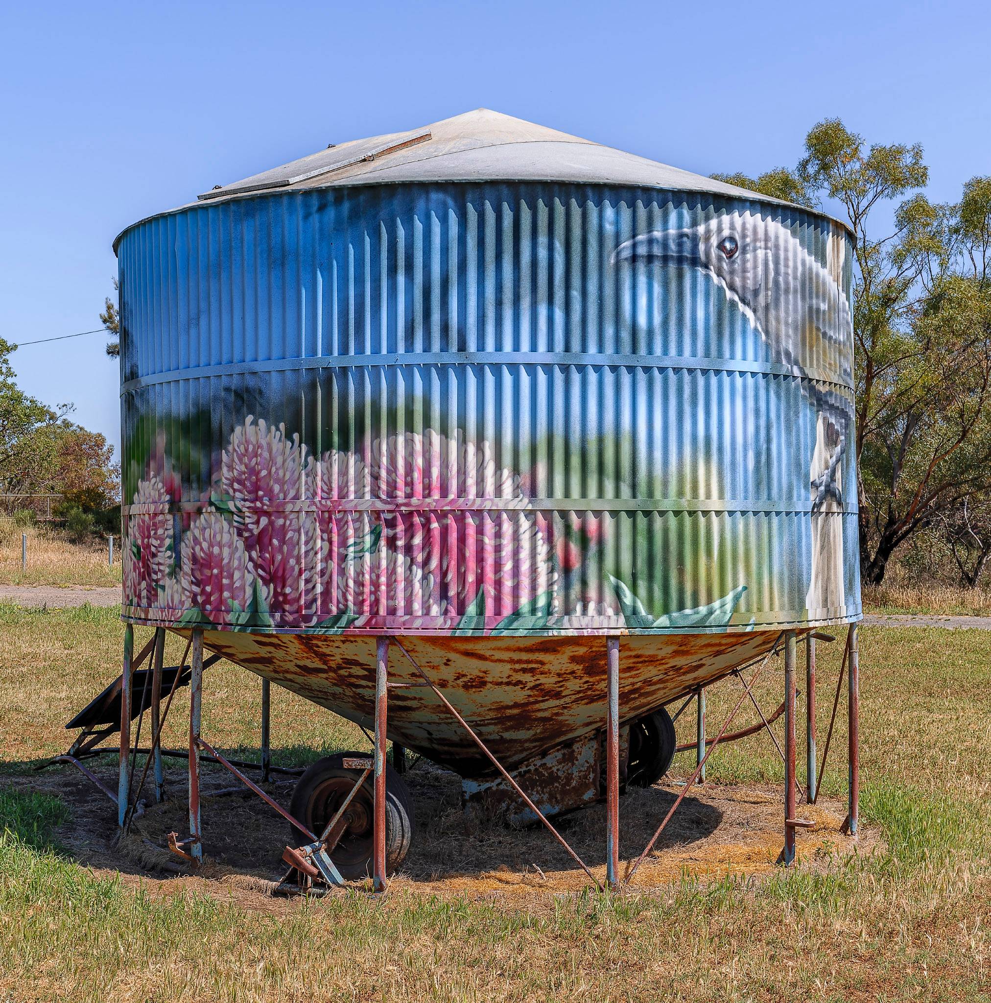 Chuck Mayfield&mdash;Western Whipbird