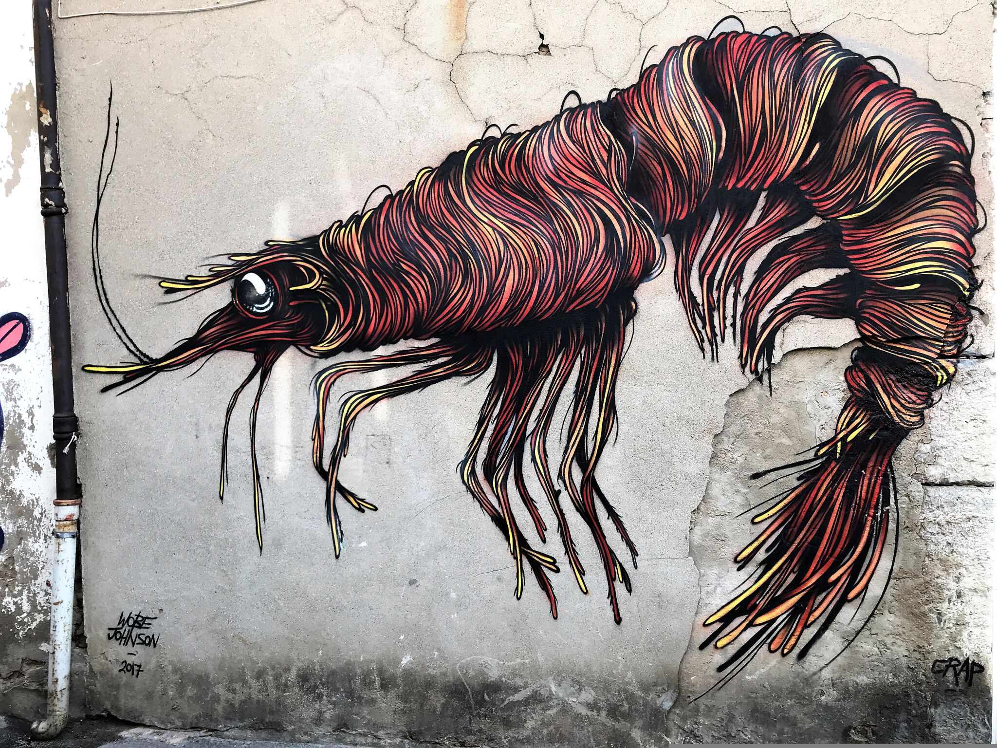 Wobe Johnson&mdash;Wobe Johnson Rue de Tunis