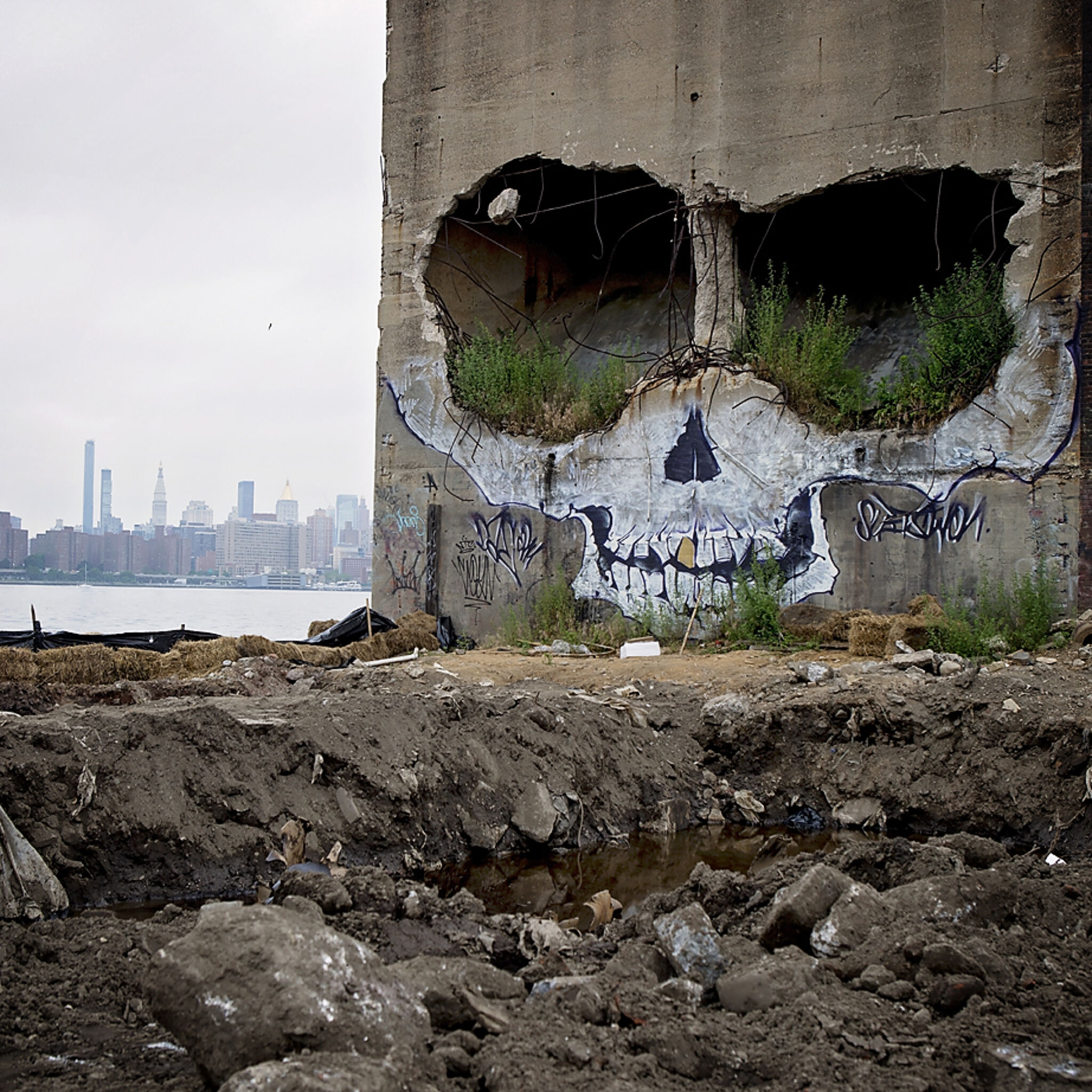 Suits&mdash;Skull Island