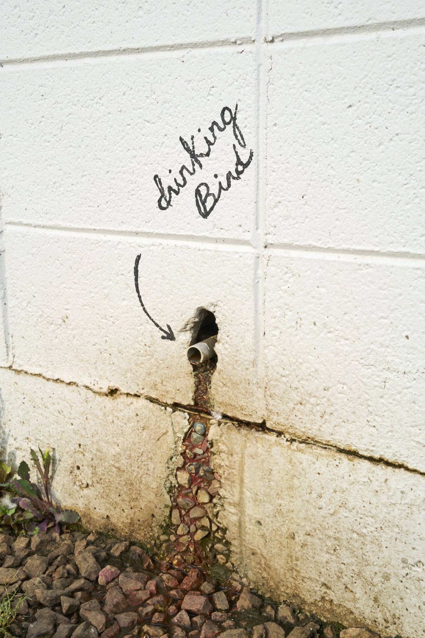 Carrie Marill&mdash;The Bicycle
