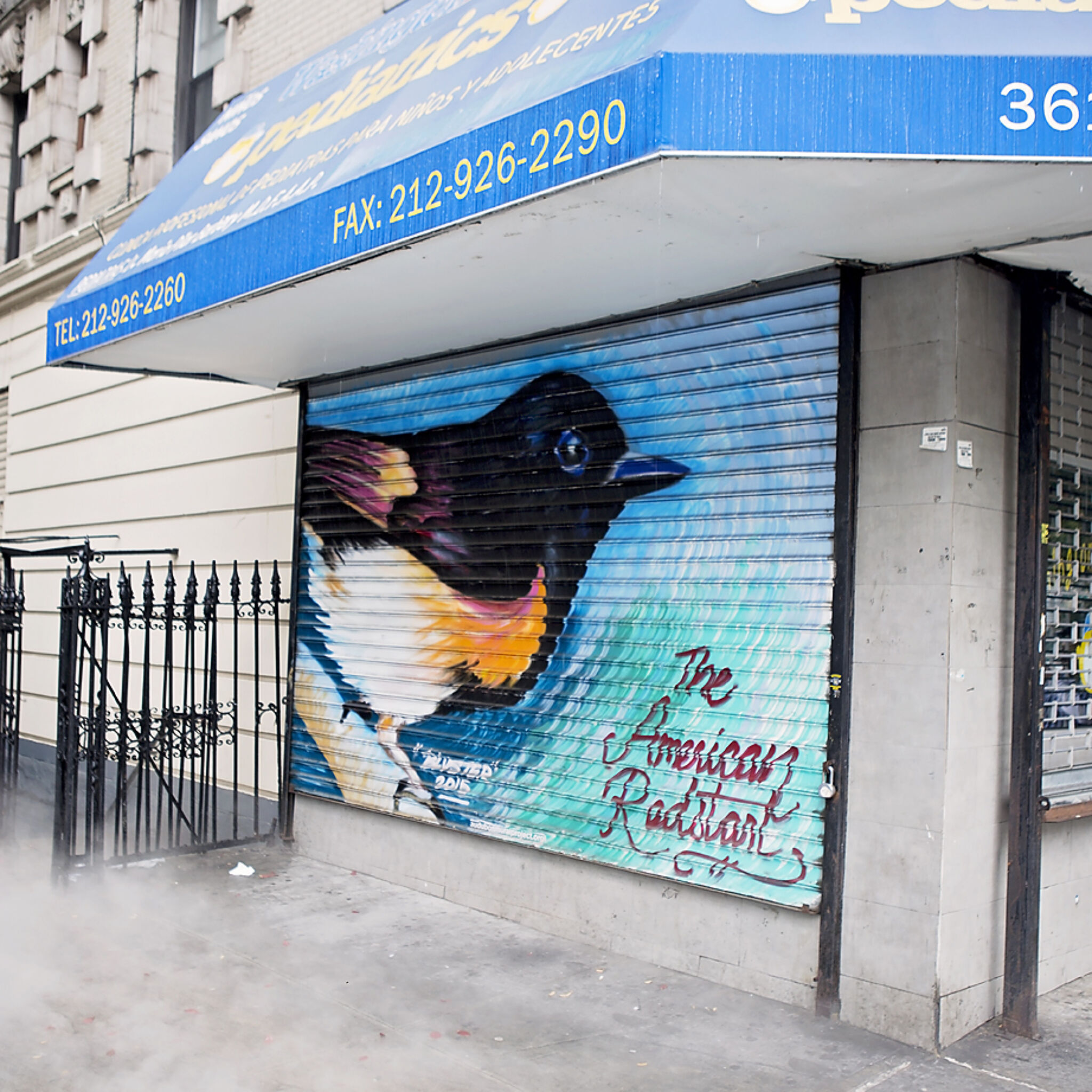 James Alicea&mdash;The American Redstart