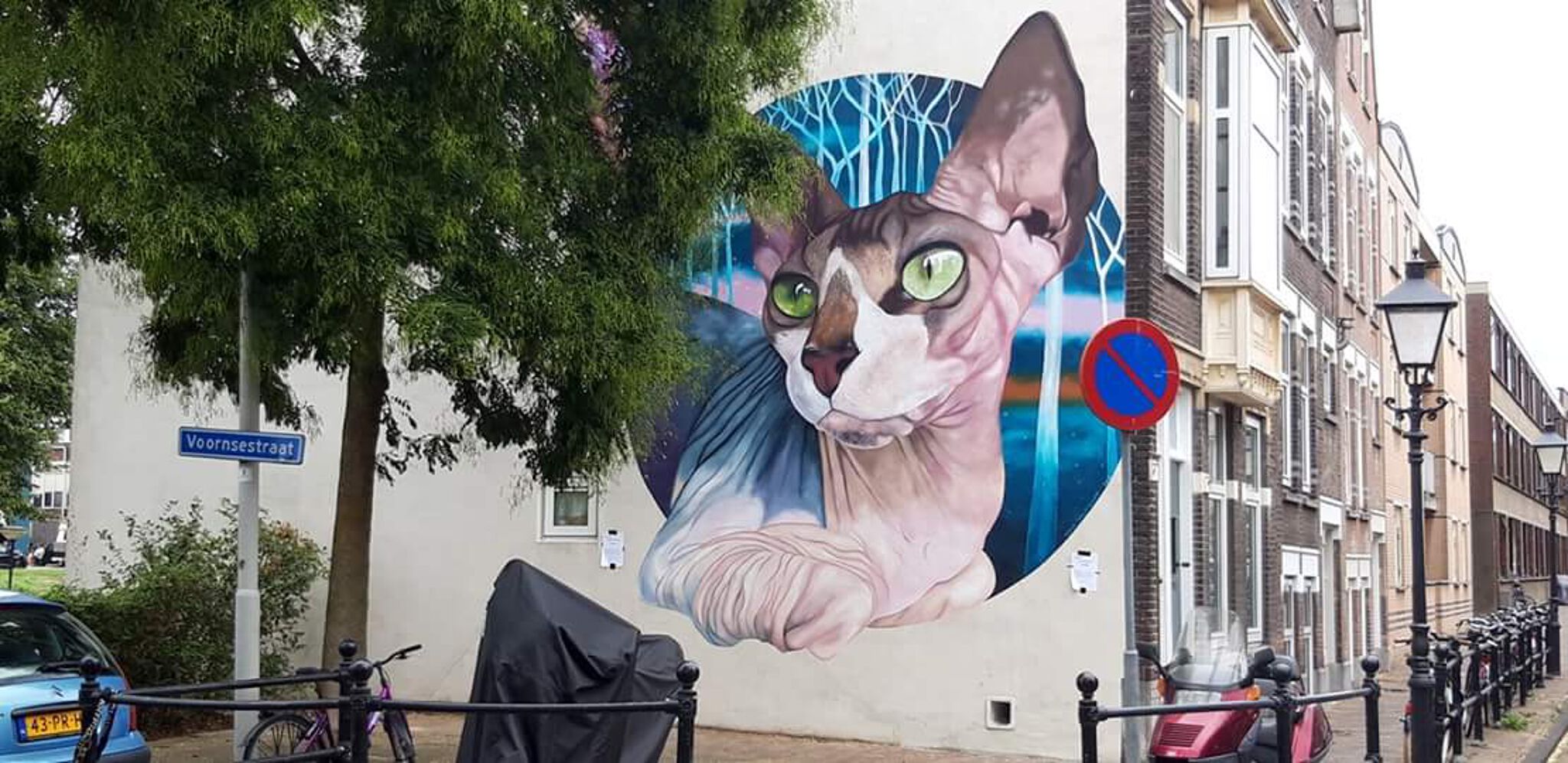 Nina Valkhoff&mdash;Sphynx cat in Charlois