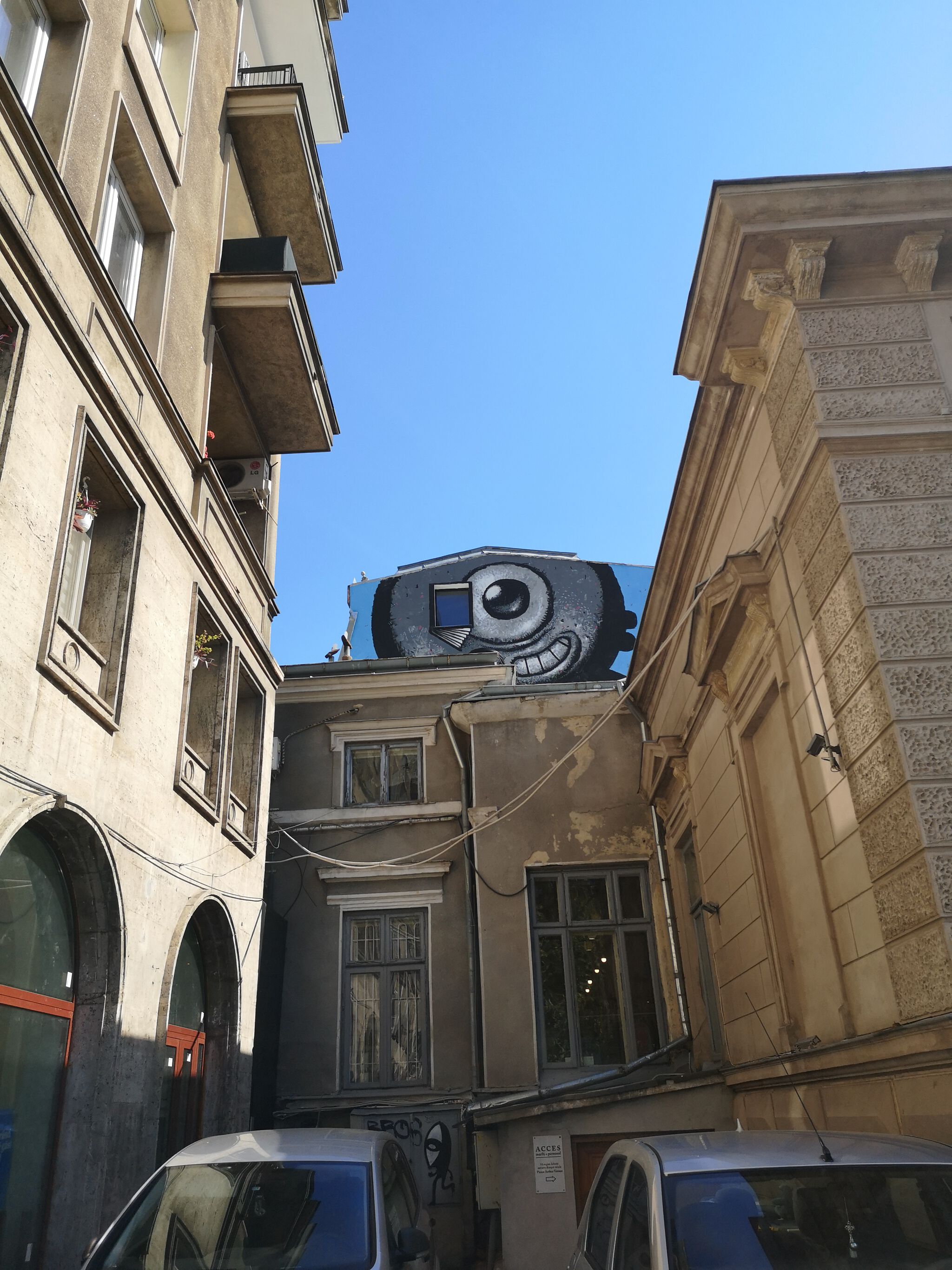 Pisica Pătrată (Square Cat)&mdash;Pisica Patrata