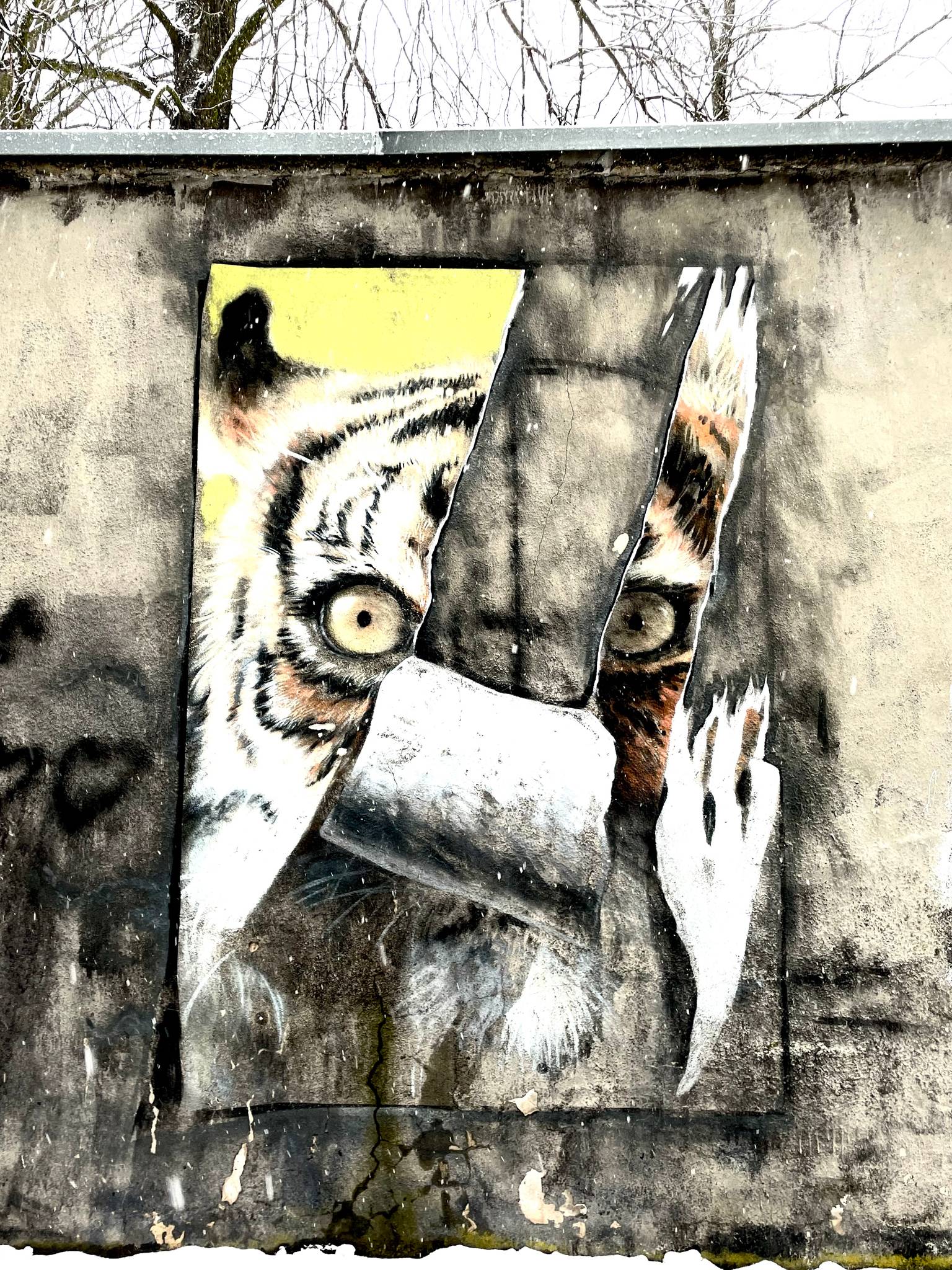 Monstfur Cru, Franek Mysza, Szwedzkiart&mdash;undefined