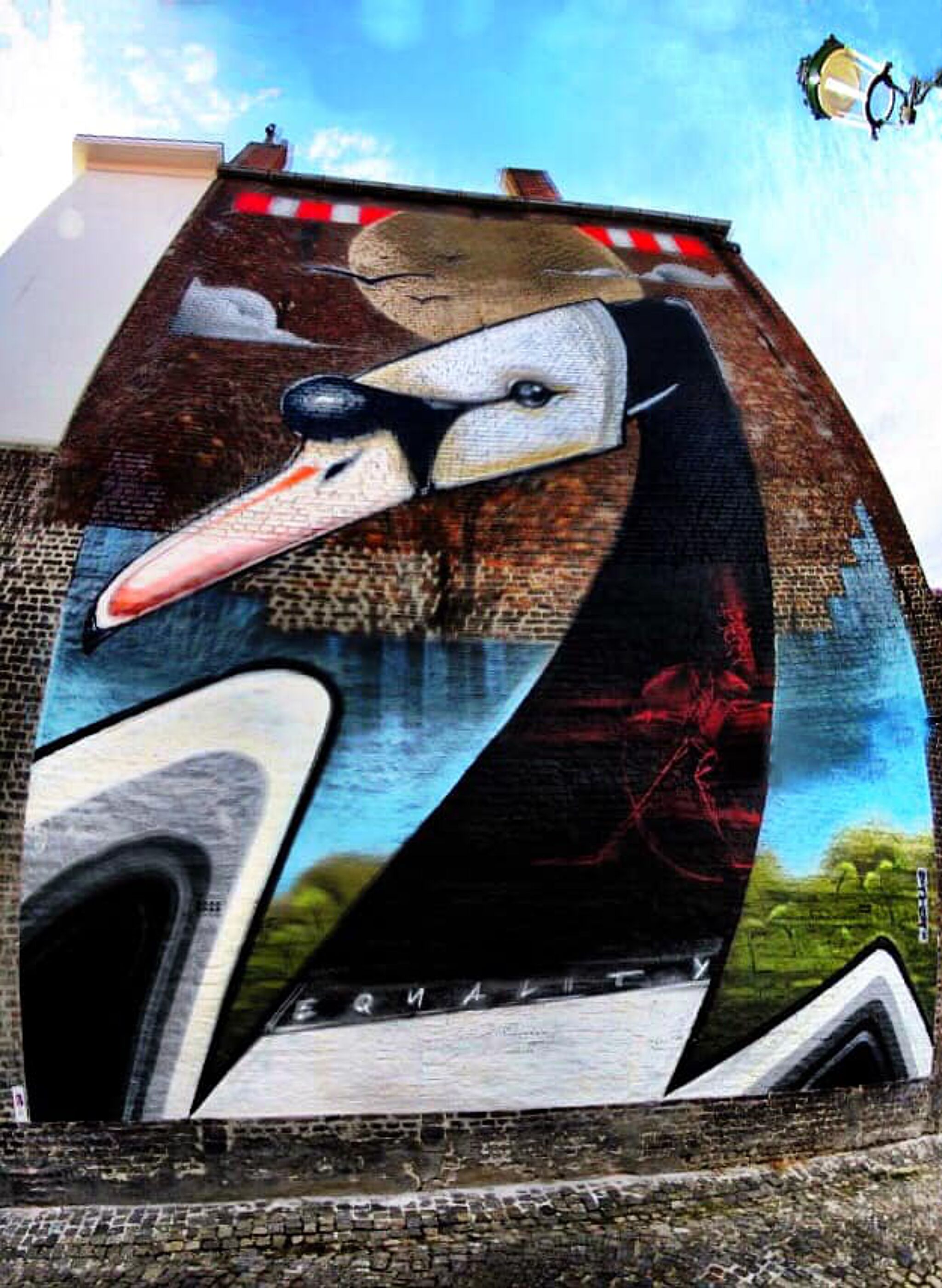 STS Jasta&mdash;Equality , the black Swan
