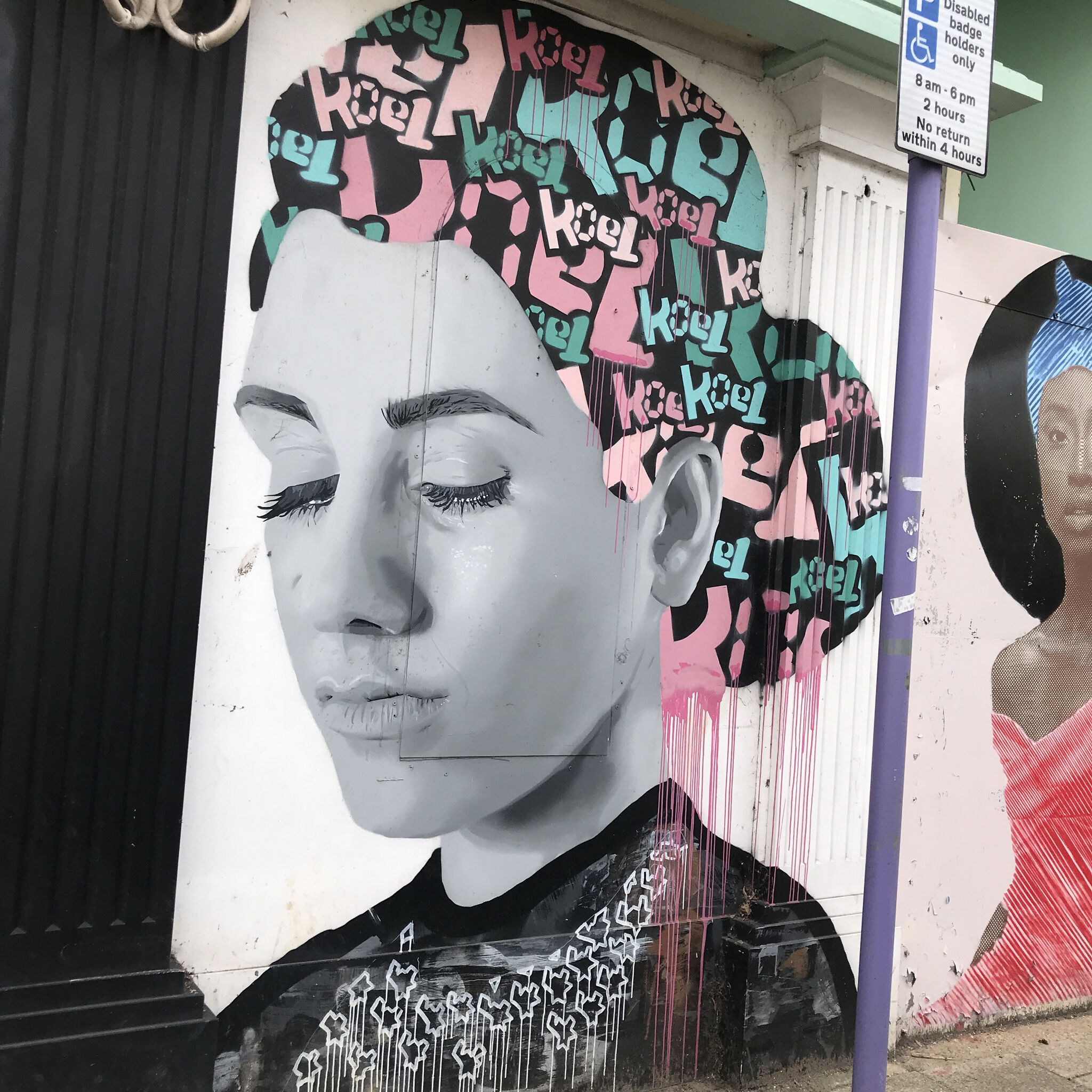rooabrook, Koe1, Ketones6000, thisismidge, NZIE, Gary Stranger, pogo, RoosArt&mdash;Osborne Road Street Art Gallery