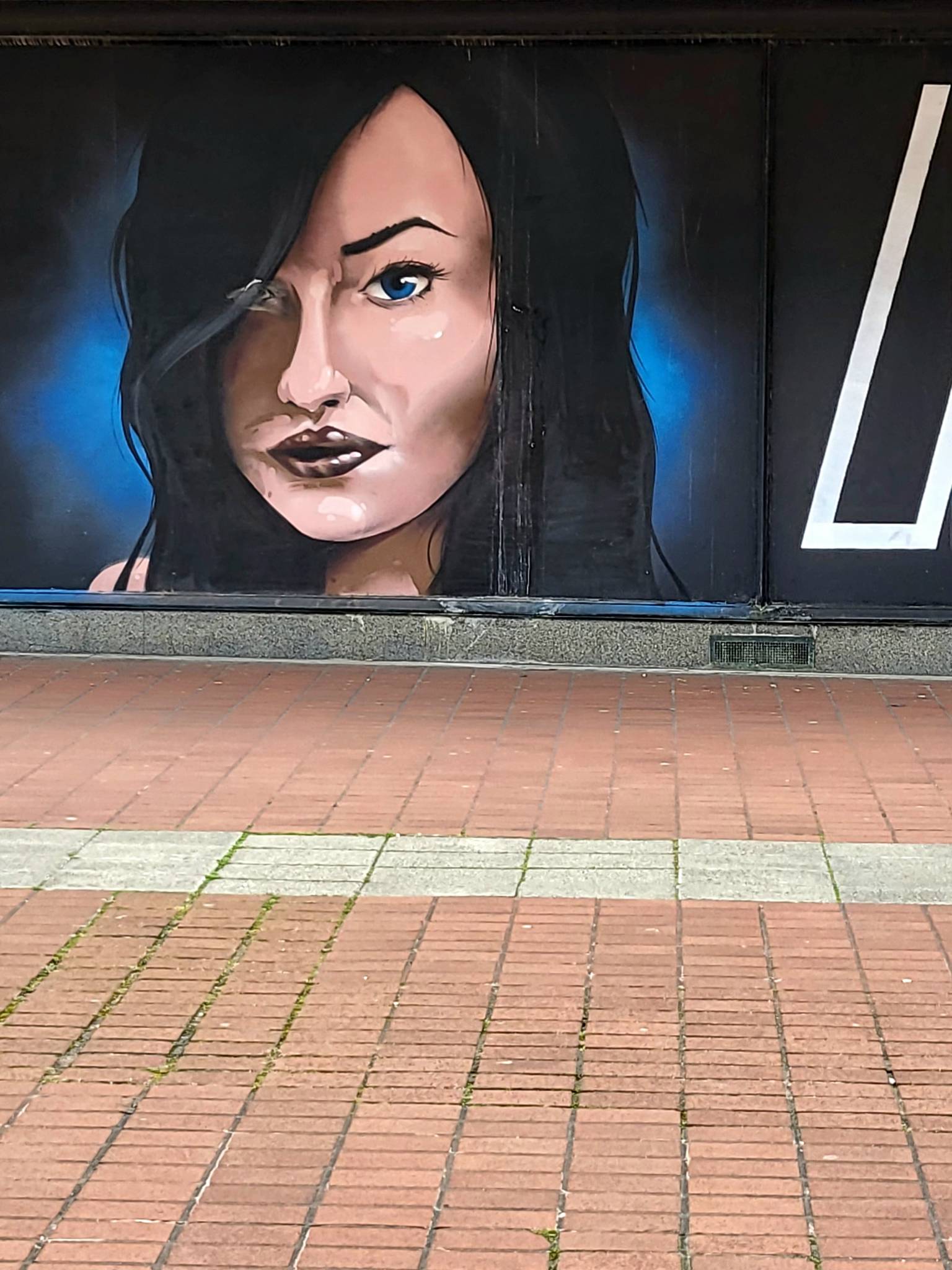 Roo Abrook, farkFK, My Dog Sighs, RoosArt, Mister Samo, Berk MLC, South Soak, Various Artists, Claudia La Bianca, Irony&mdash;Palmerston Road Precinct