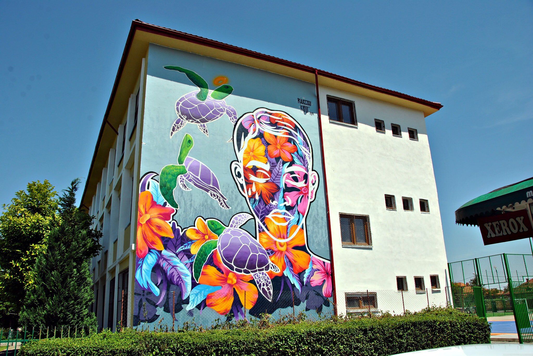KAPS Crew, Răzvan Răucescu&mdash;Continuity for infinity