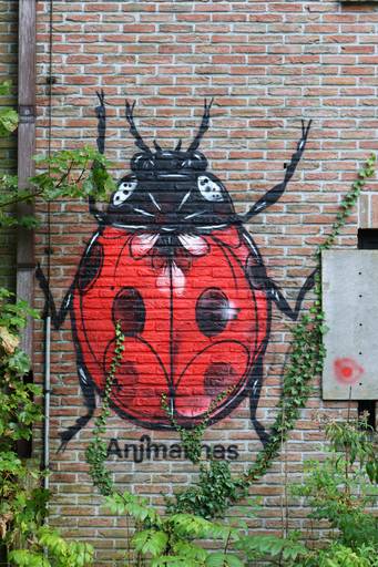 Animalinas #00 - Lieveheersbeestje