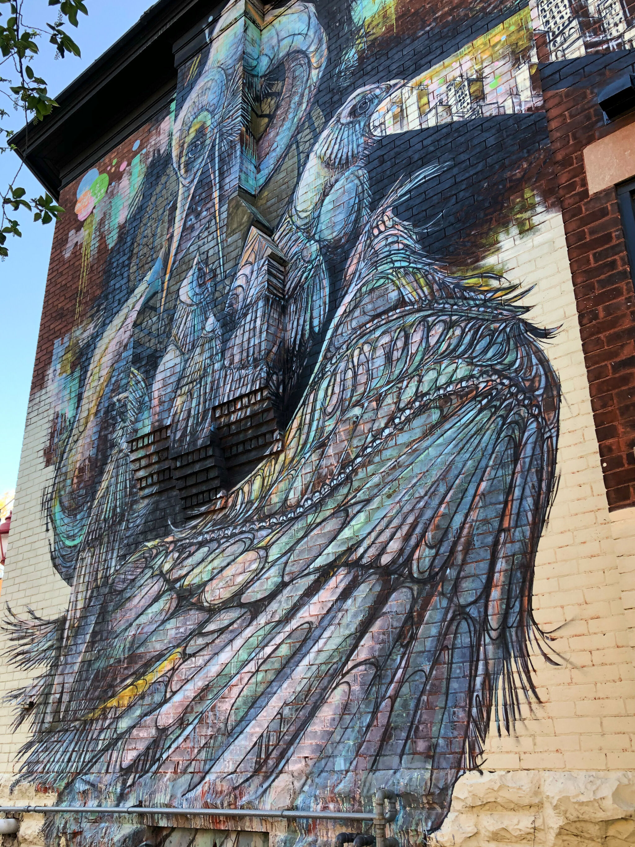 5ivecents&mdash;Storks at the Art House Cafe