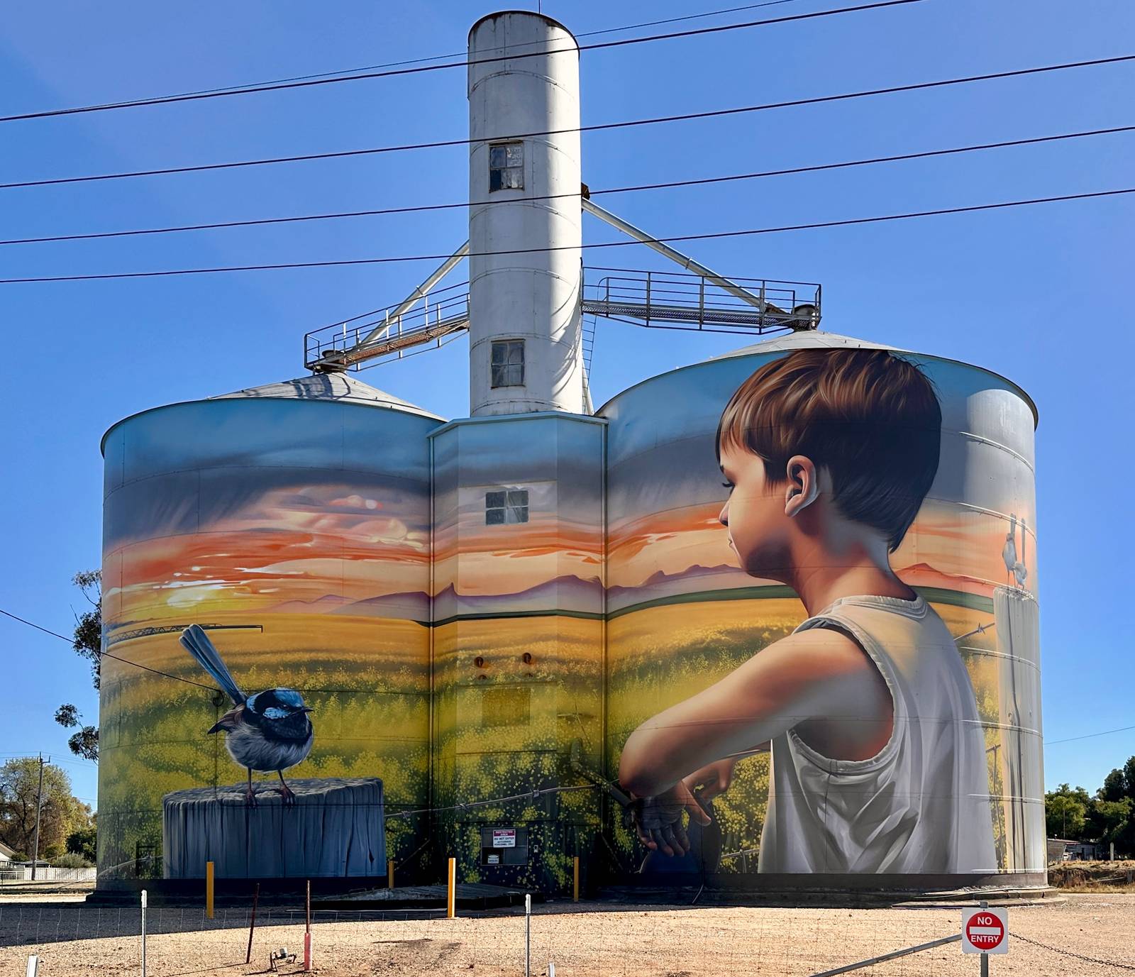 Smug&mdash;Rupanyup Silo Art