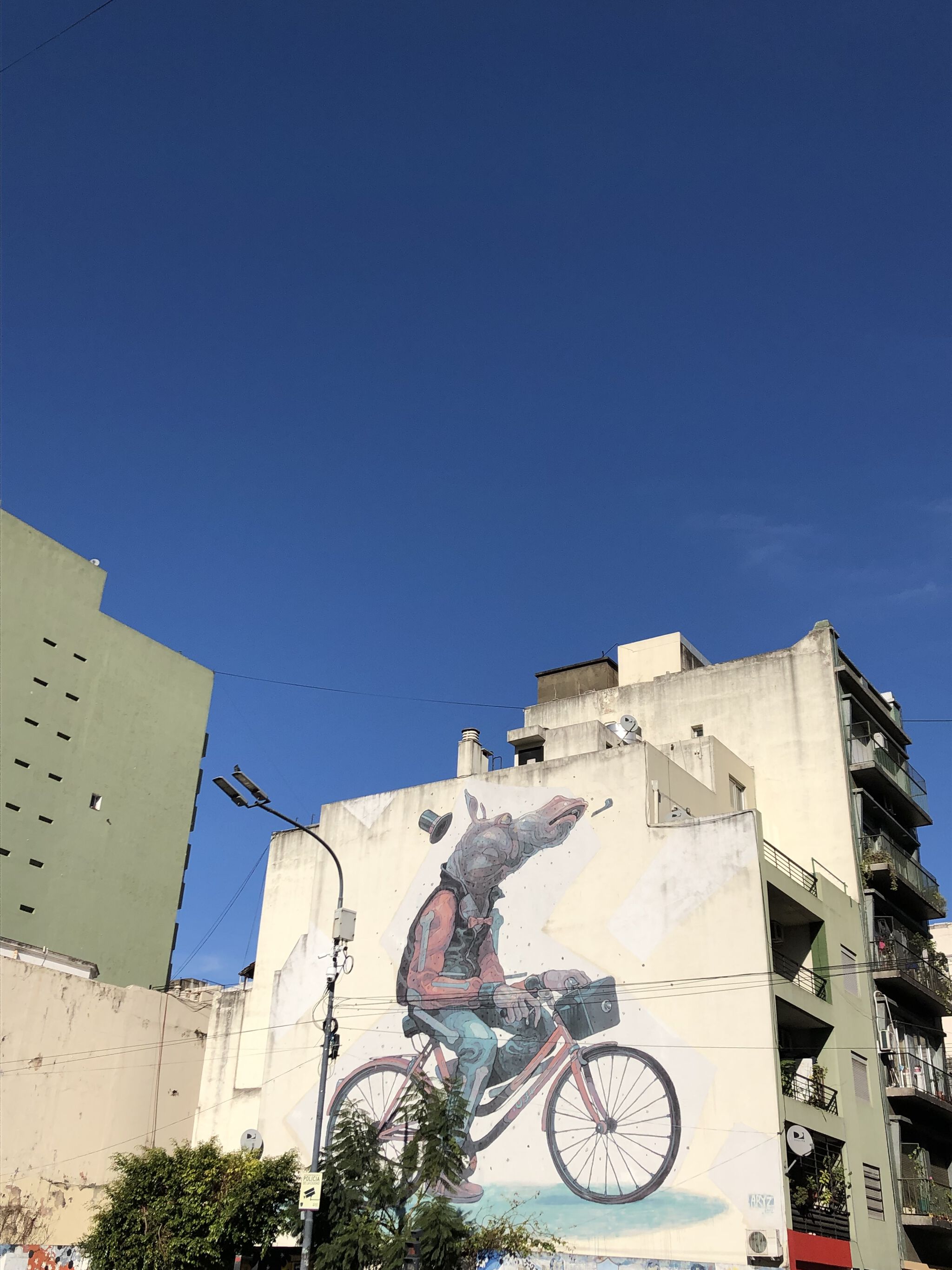 Aryz&mdash;hippopotamus riding a bike